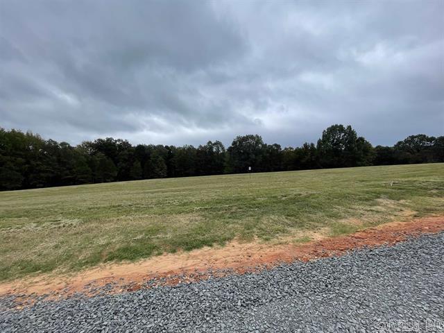 Lot 4  Hudson Pointe  Greers Ferry, AR
