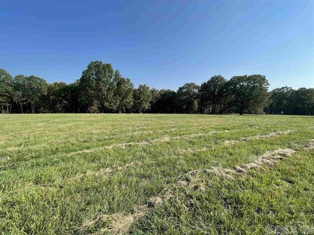 Lot 4  Hudson Pointe  Greers Ferry, AR