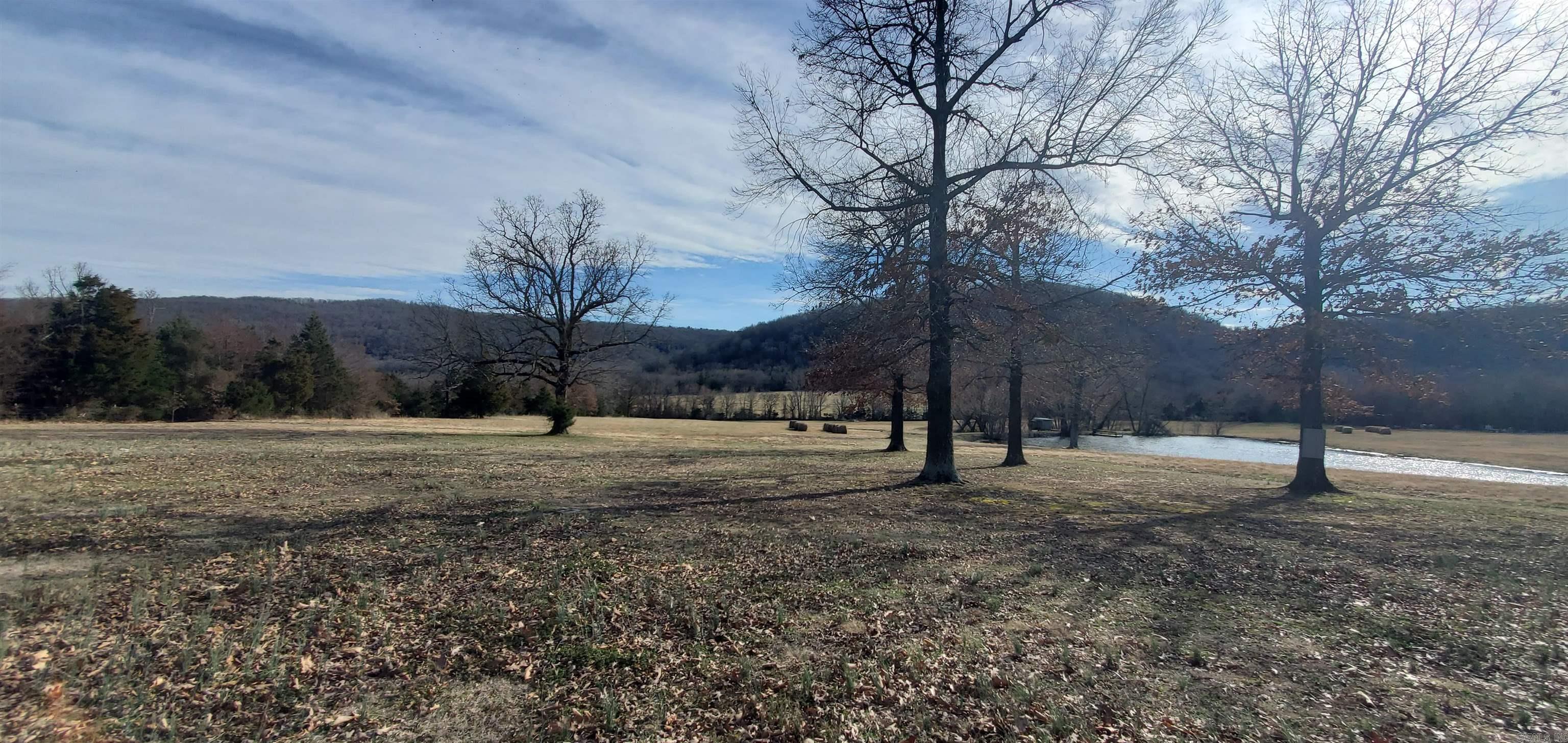 1017A  Shipman Drive  Mountain View, AR