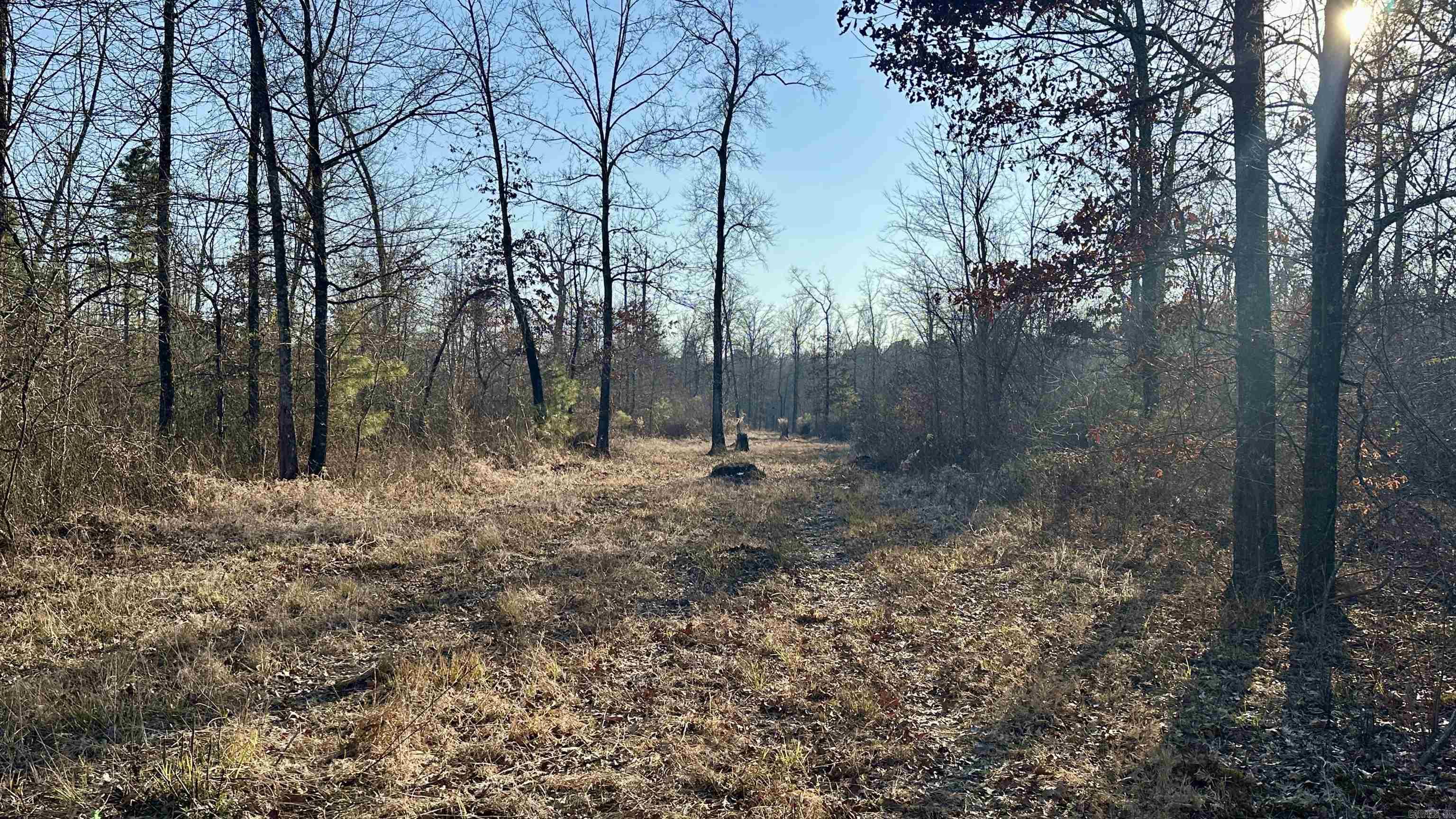 000  E. 42nd Avenue  Pine Bluff, AR