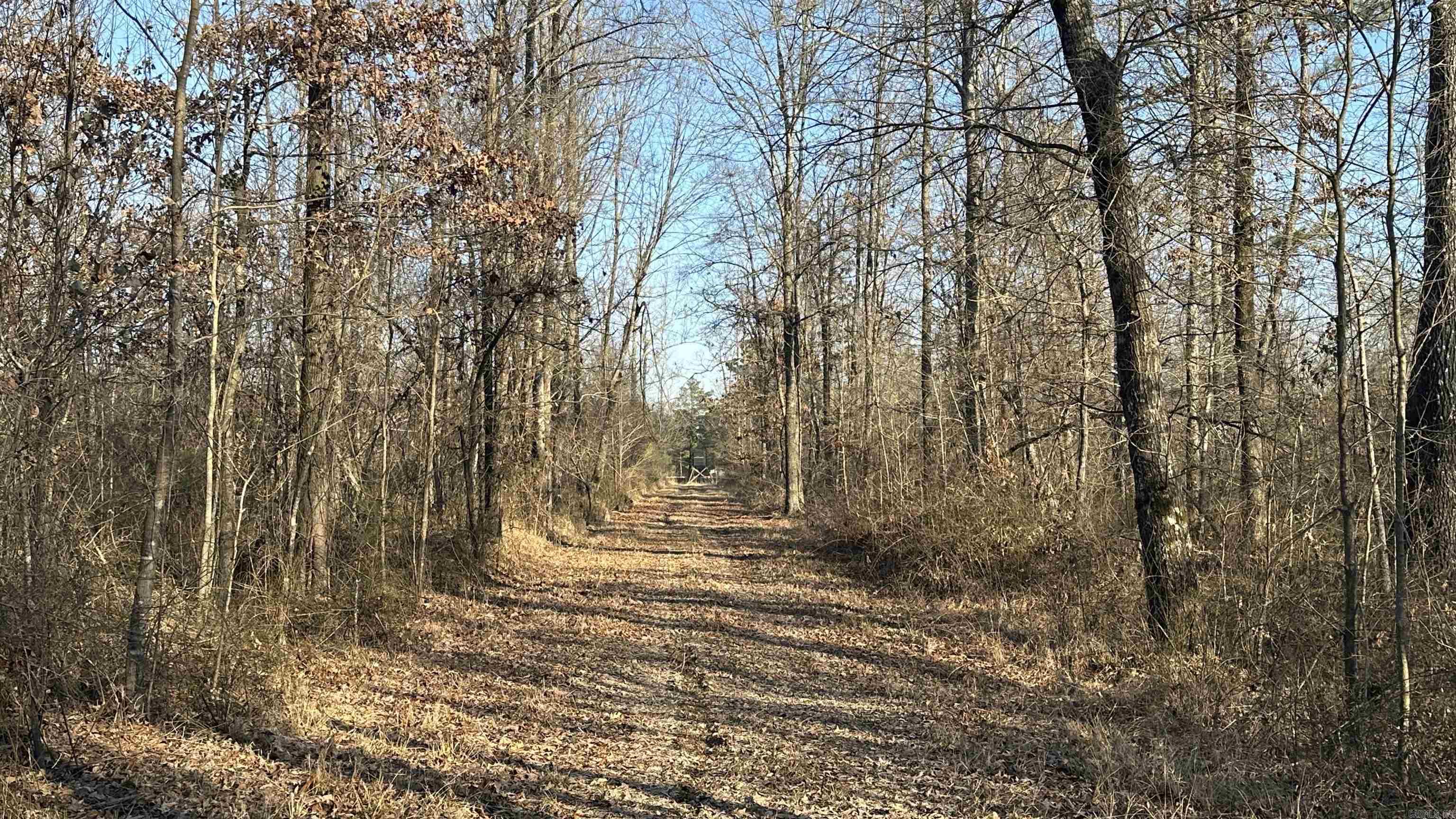 000  E. 42nd Avenue  Pine Bluff, AR