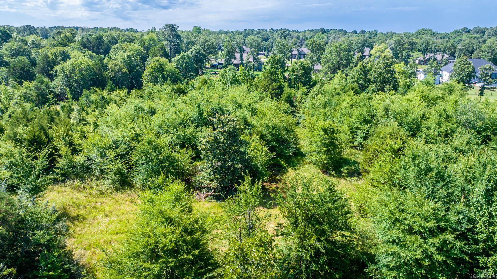   Sawrie  Greenbrier, AR