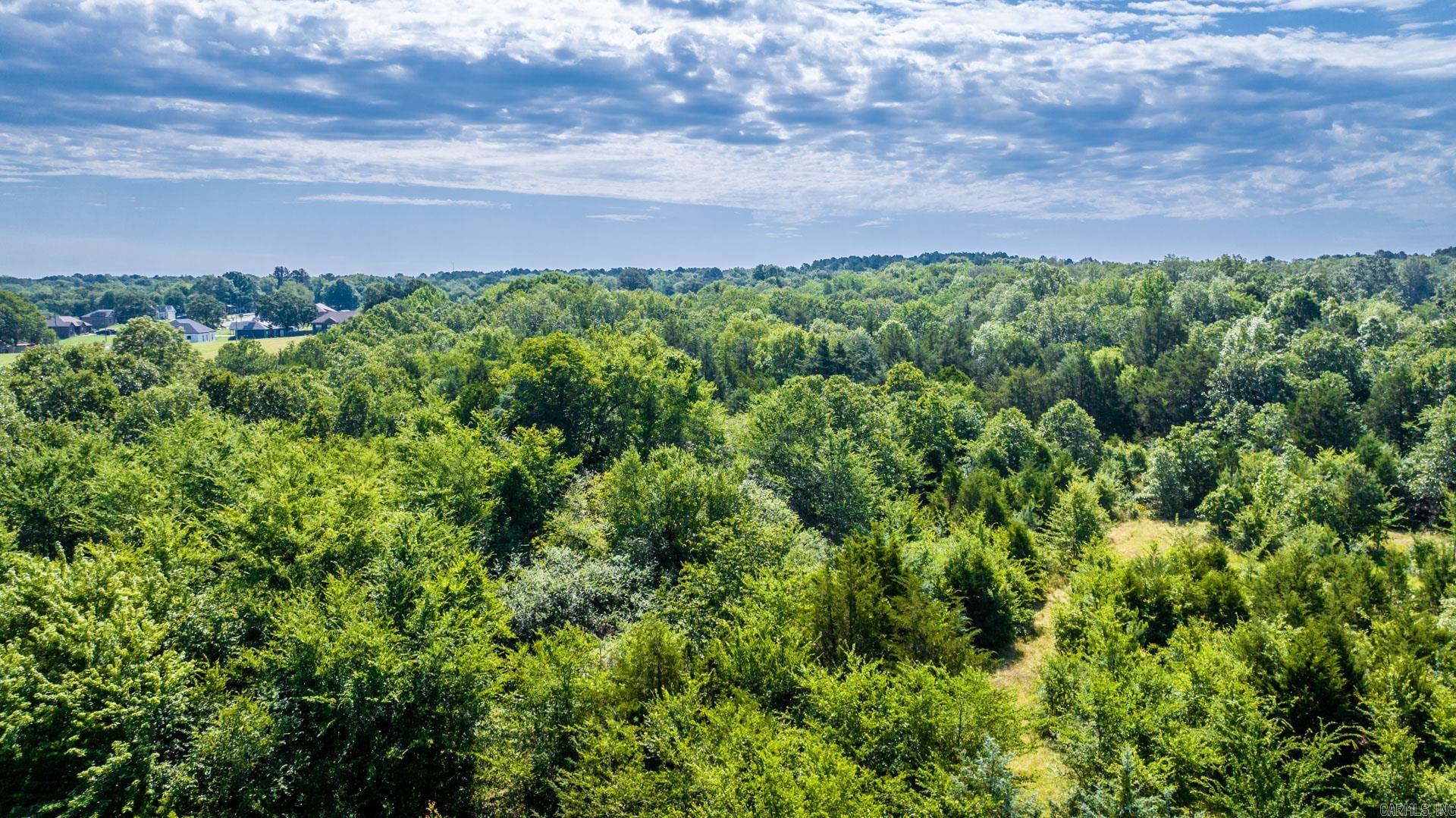   Sawrie  Greenbrier, AR