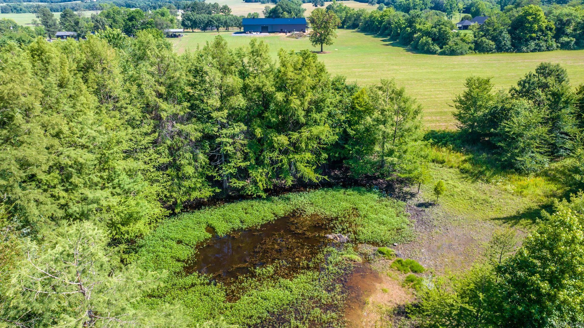   Sawrie  Greenbrier, AR