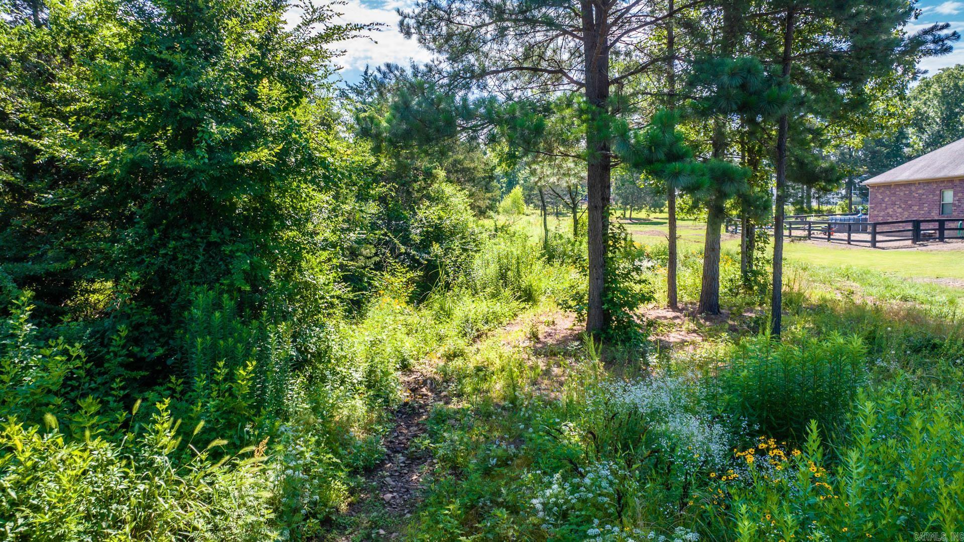   Sawrie  Greenbrier, AR