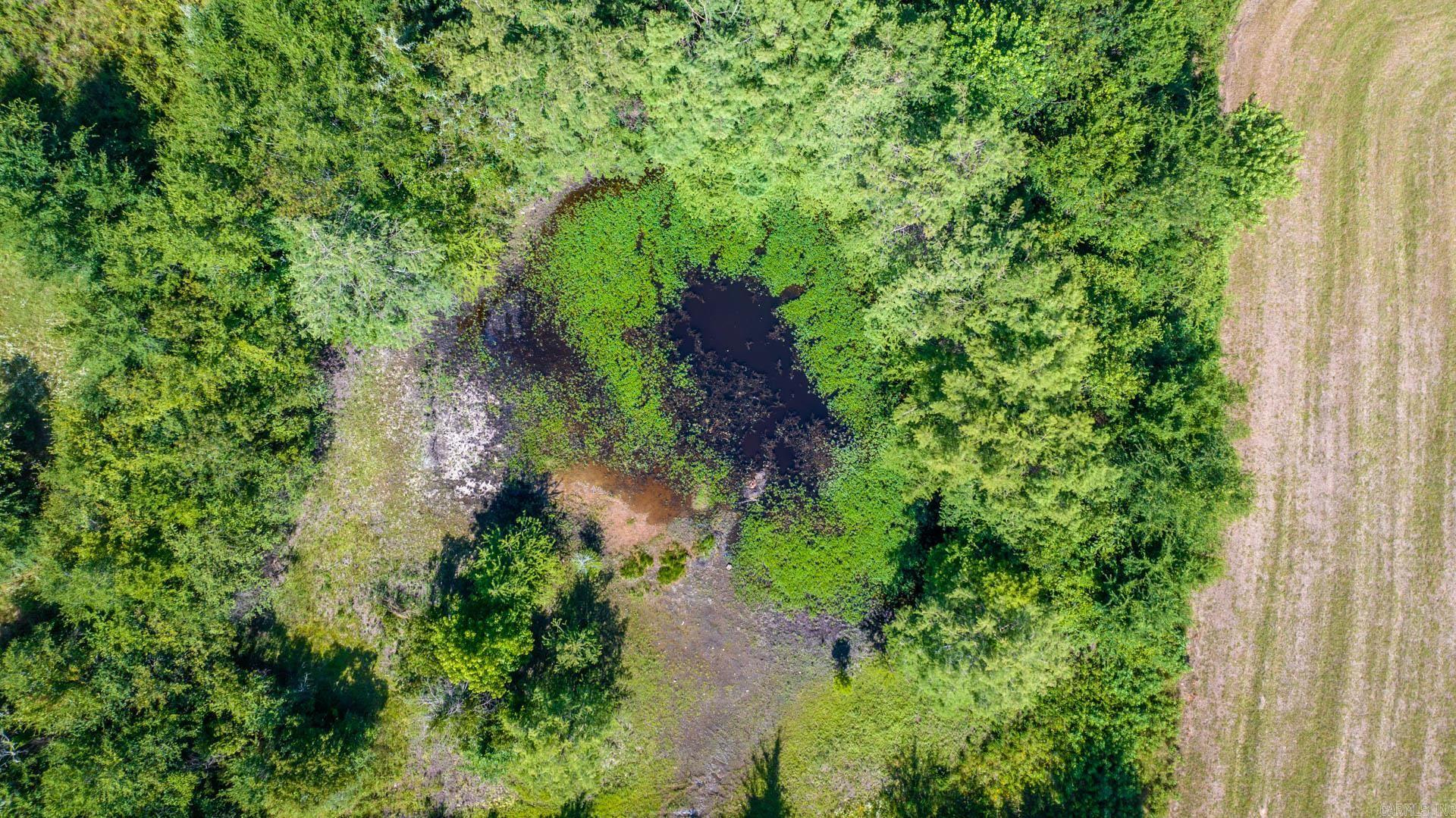   Sawrie  Greenbrier, AR