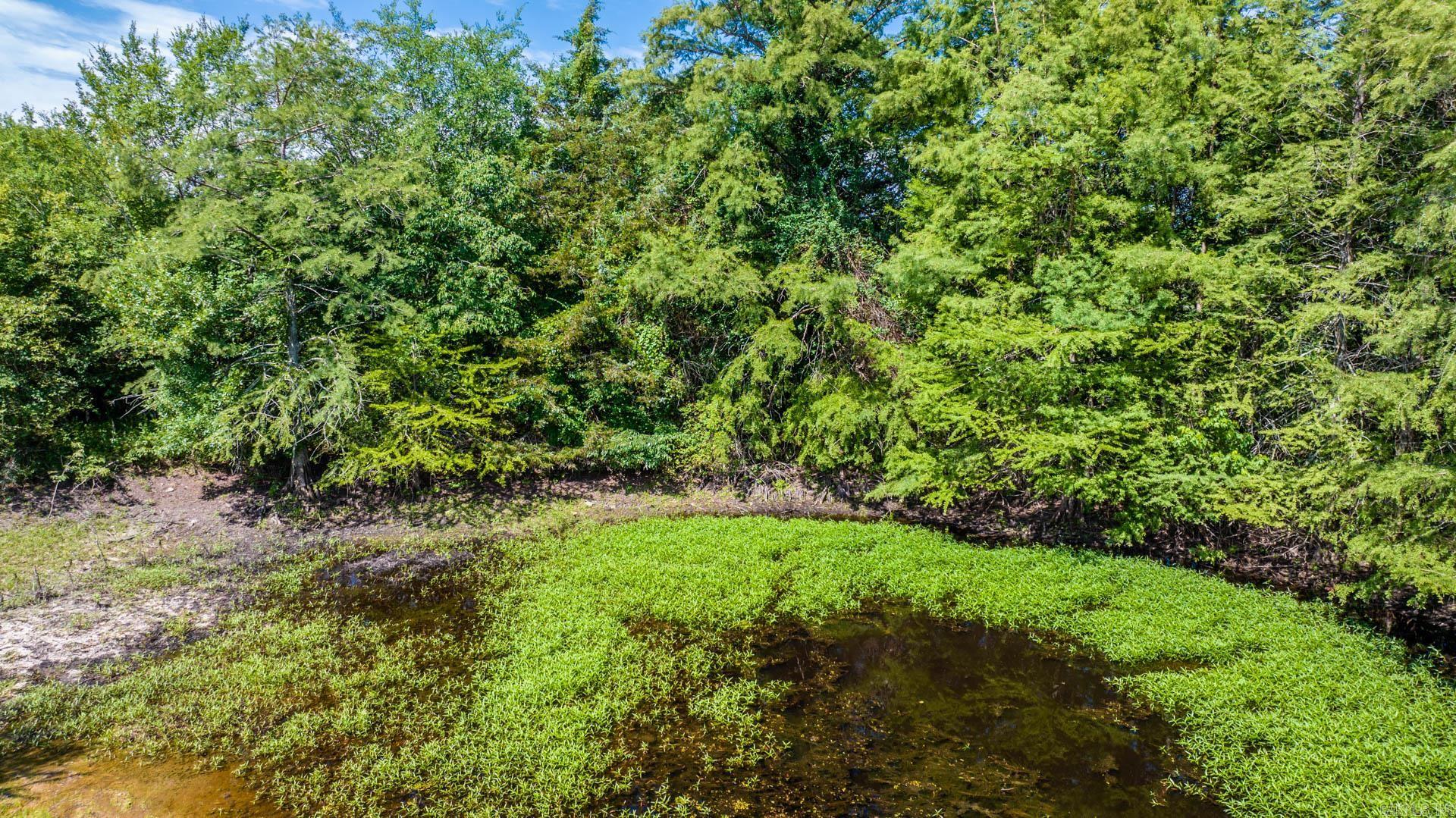   Sawrie  Greenbrier, AR