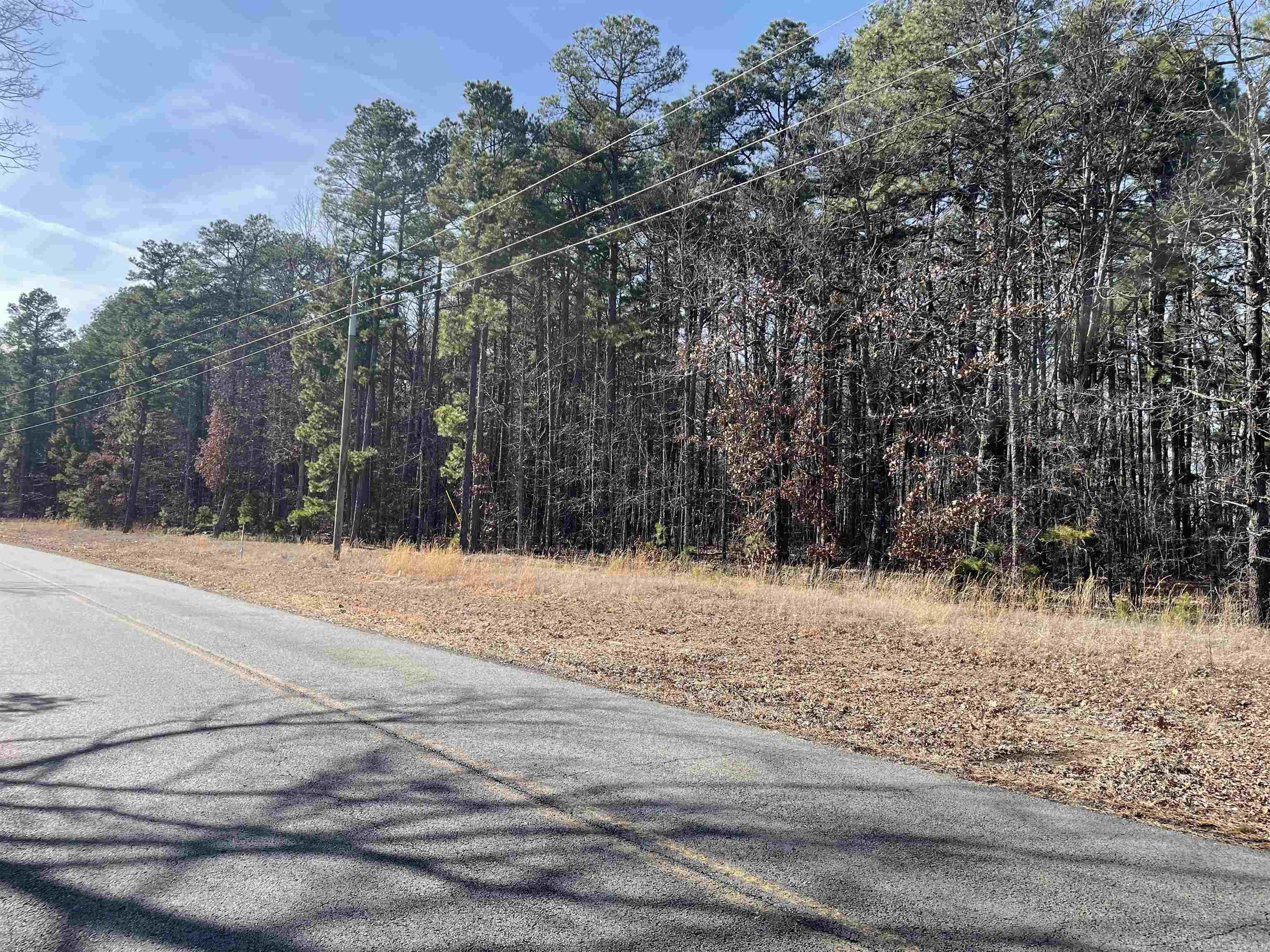 00 Diamond Bluff Rd. Quitman, AR 72131