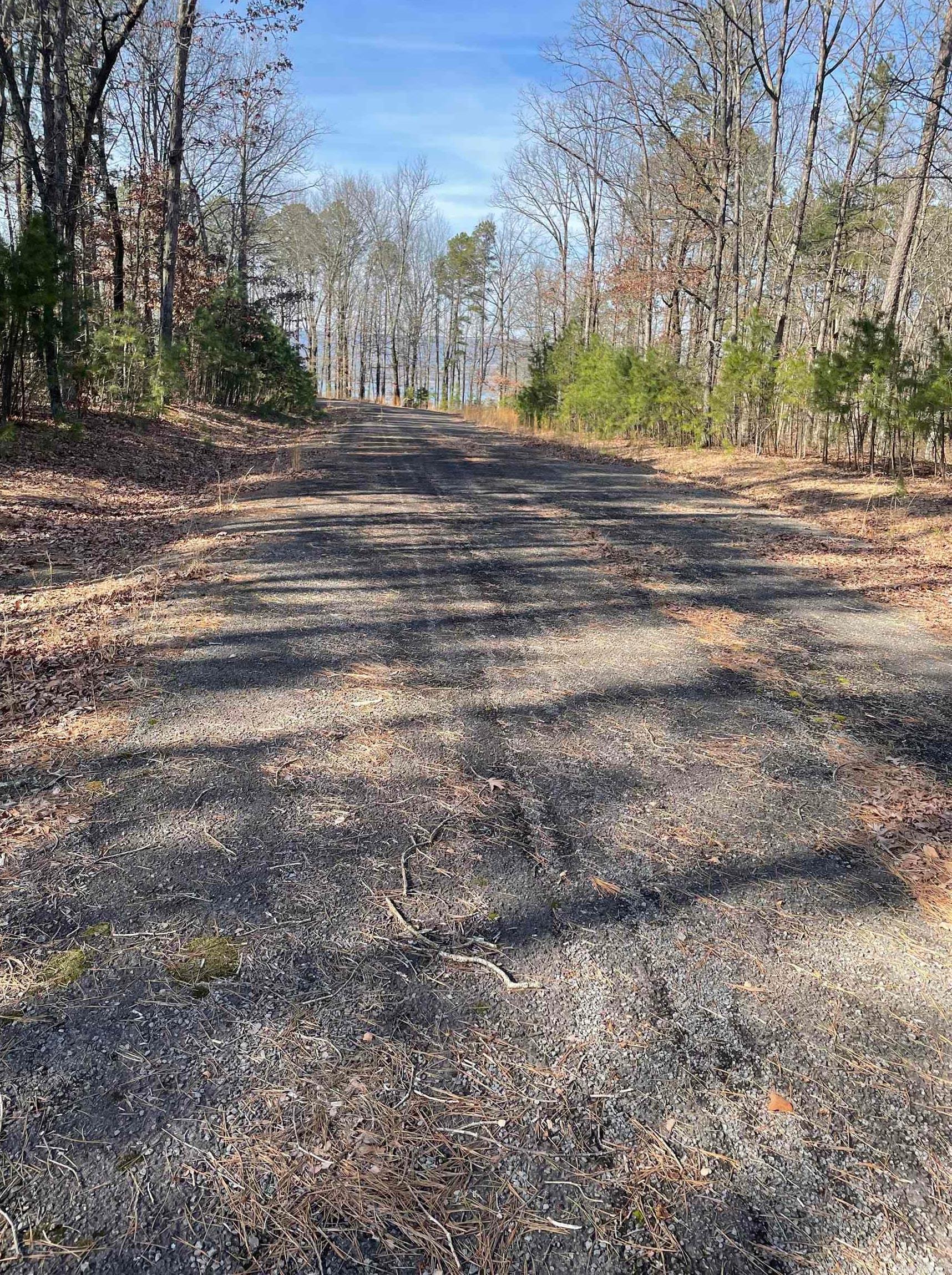 00 Diamond Bluff Rd. Quitman, AR 72131