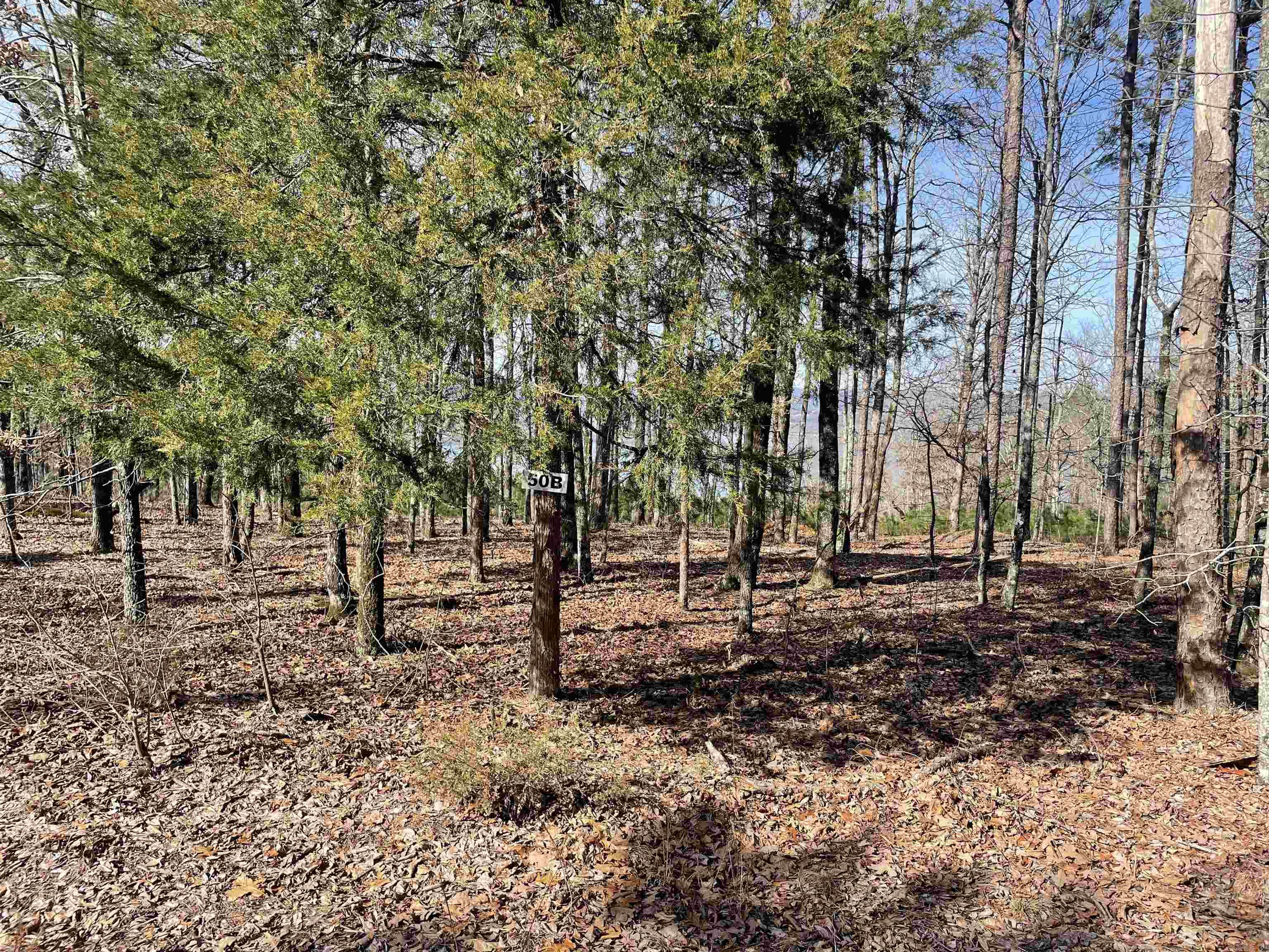 00 Diamond Bluff Rd. Quitman, AR 72131
