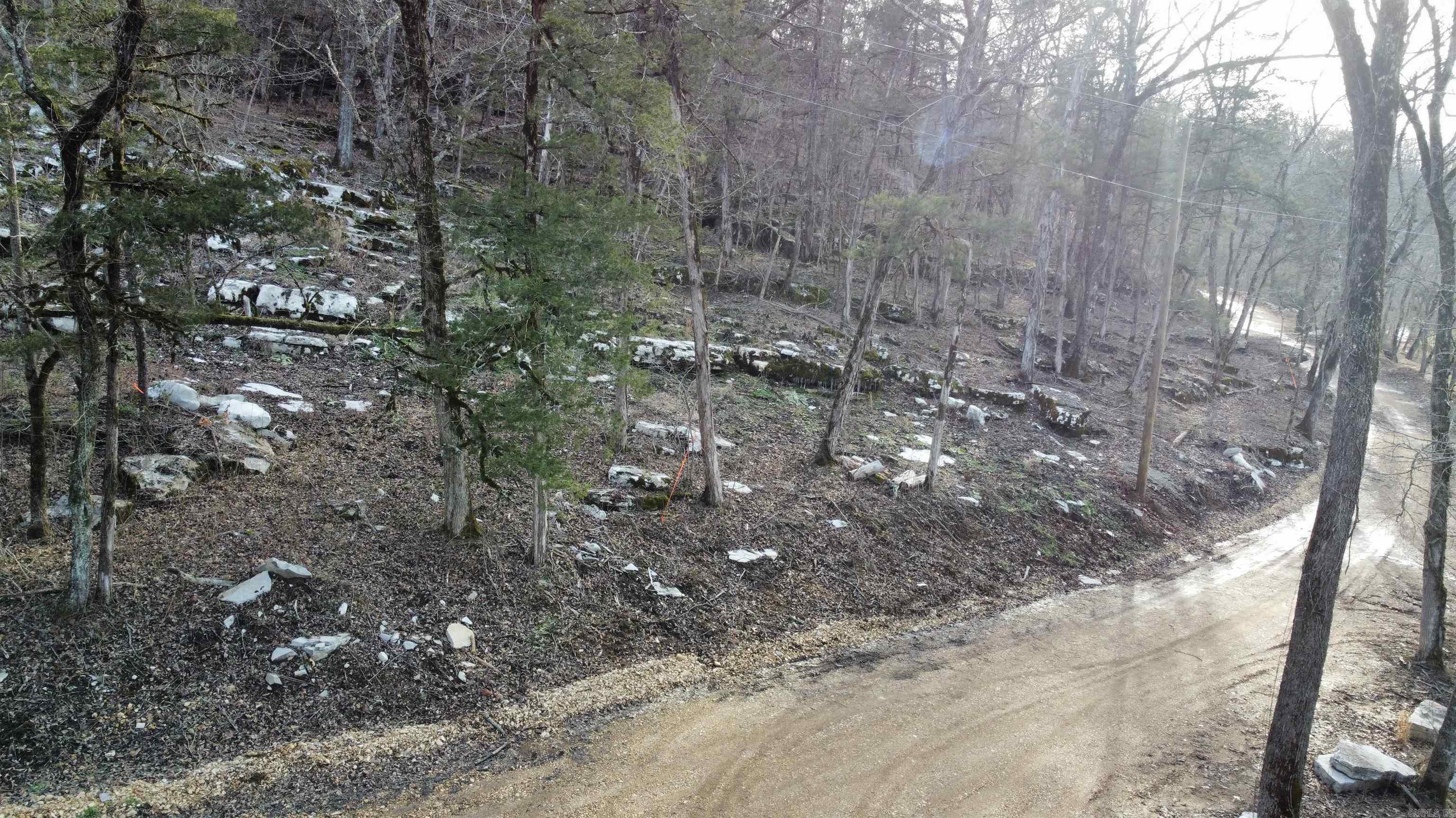 Tract C&D  CR 115  Mountain View, AR