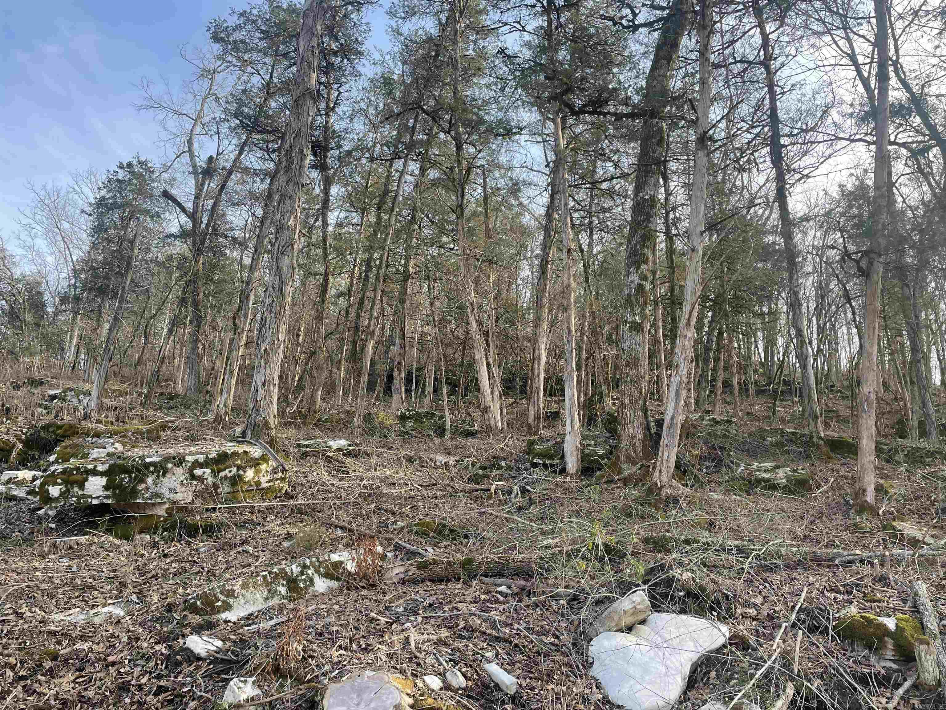 Tract C&D  CR 115  Mountain View, AR