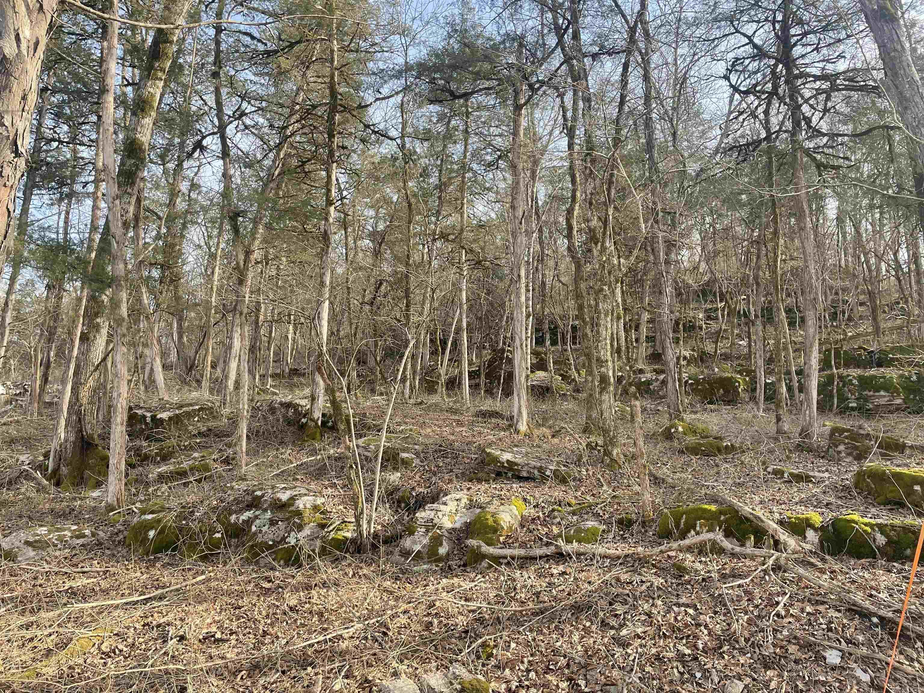 Tract C&D  CR 115  Mountain View, AR