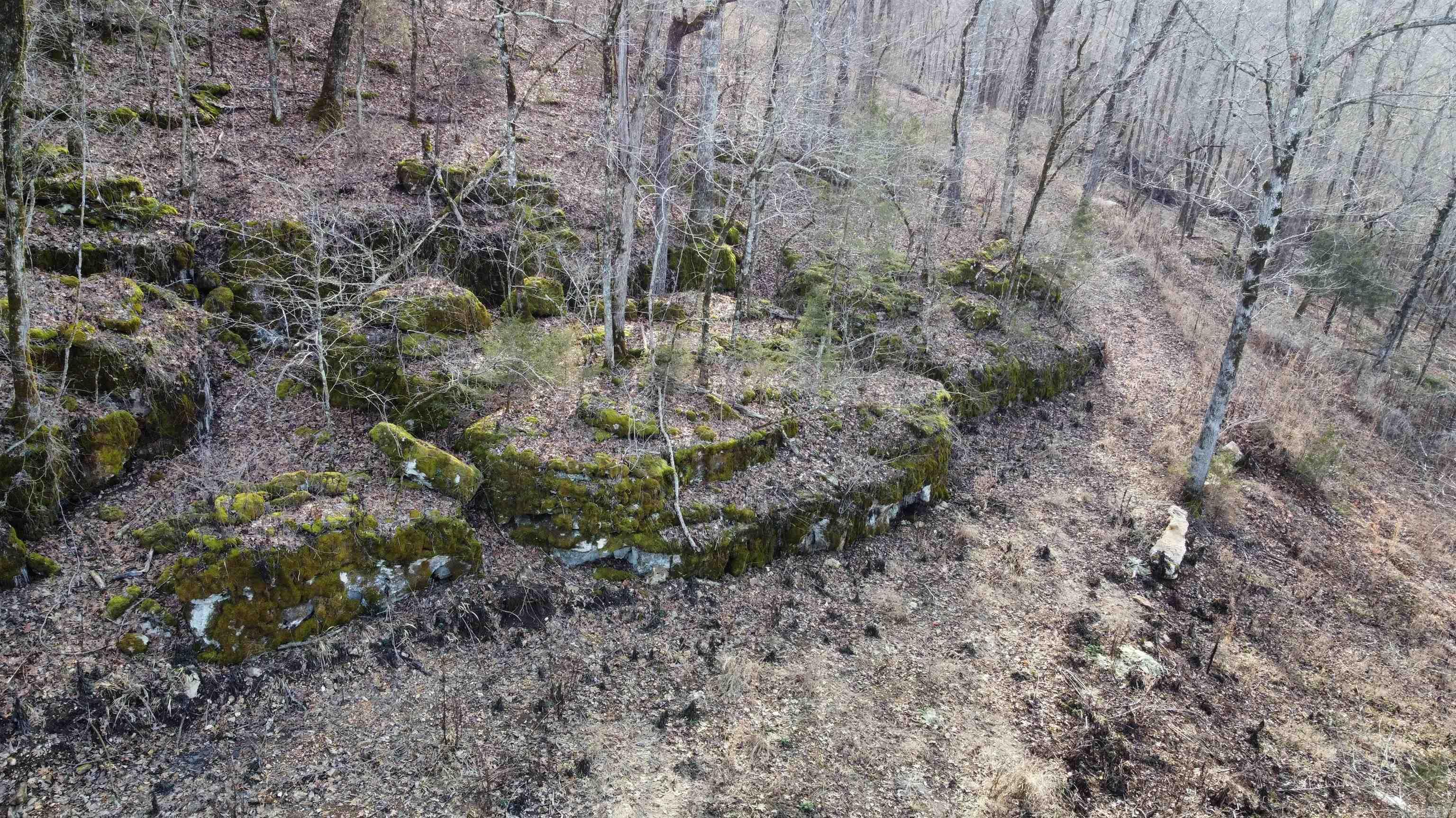 Tract C&D  CR 115  Mountain View, AR