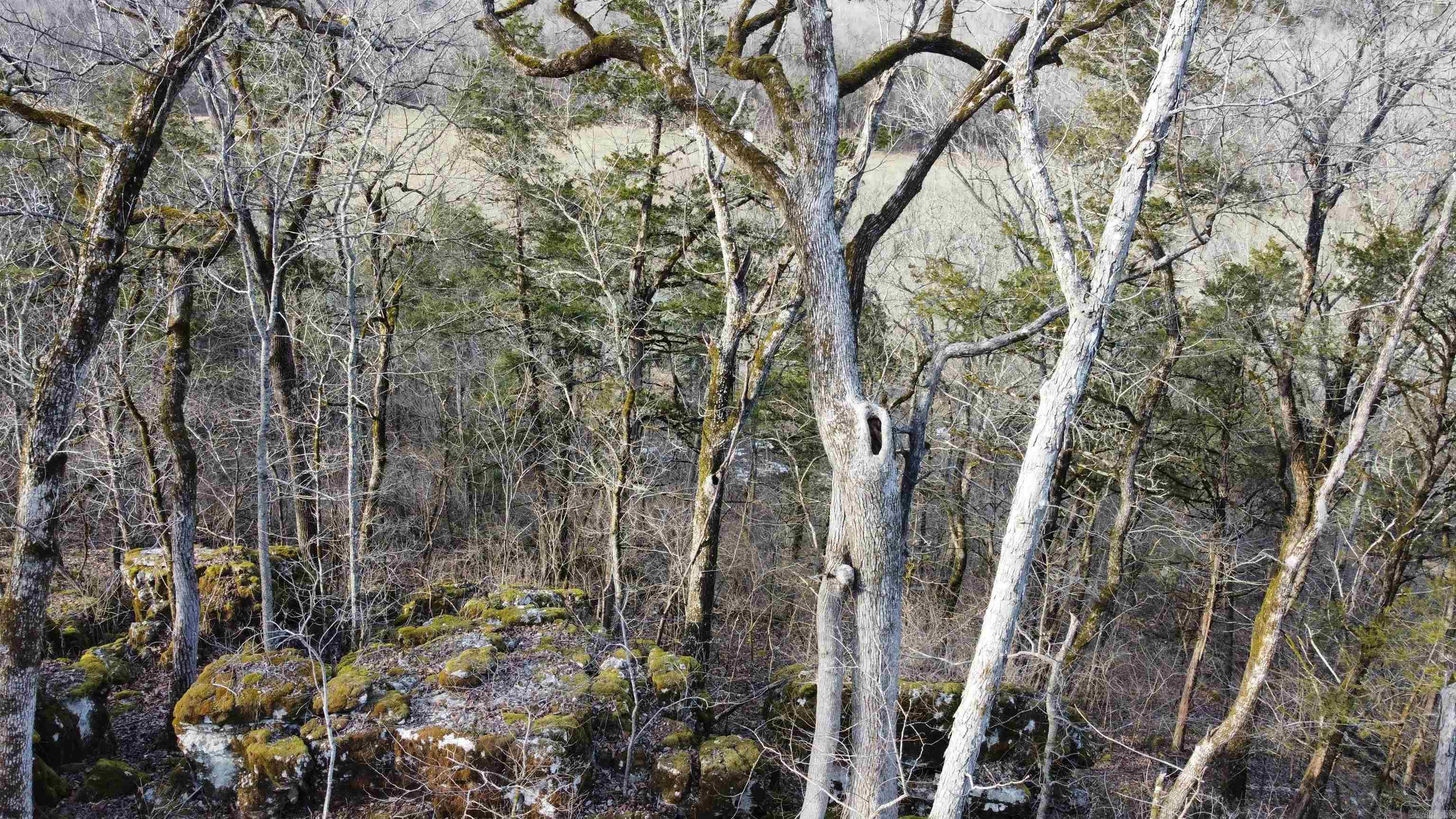 Tract C&D  CR 115  Mountain View, AR