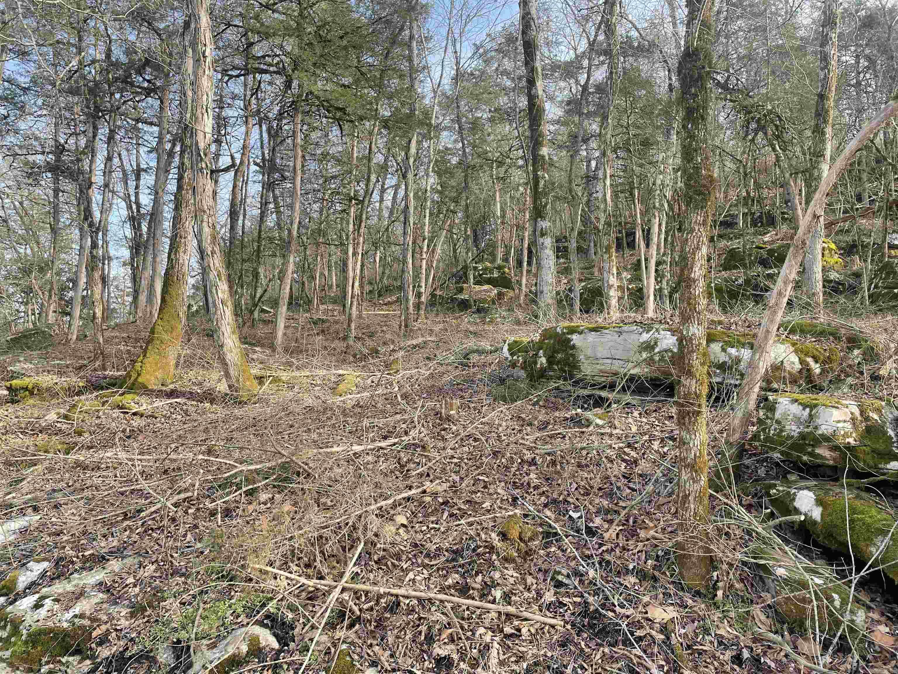 Tract C&D  CR 115  Mountain View, AR