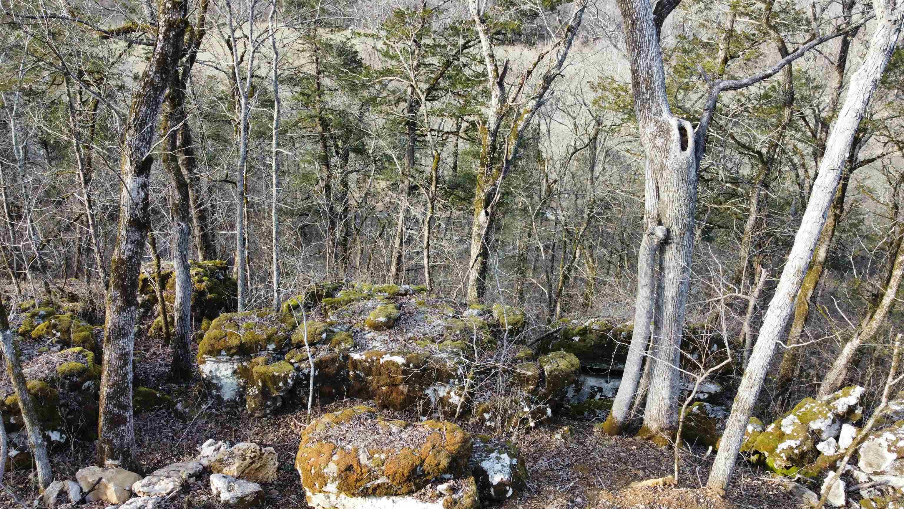 Tract C&D  CR 115  Mountain View, AR