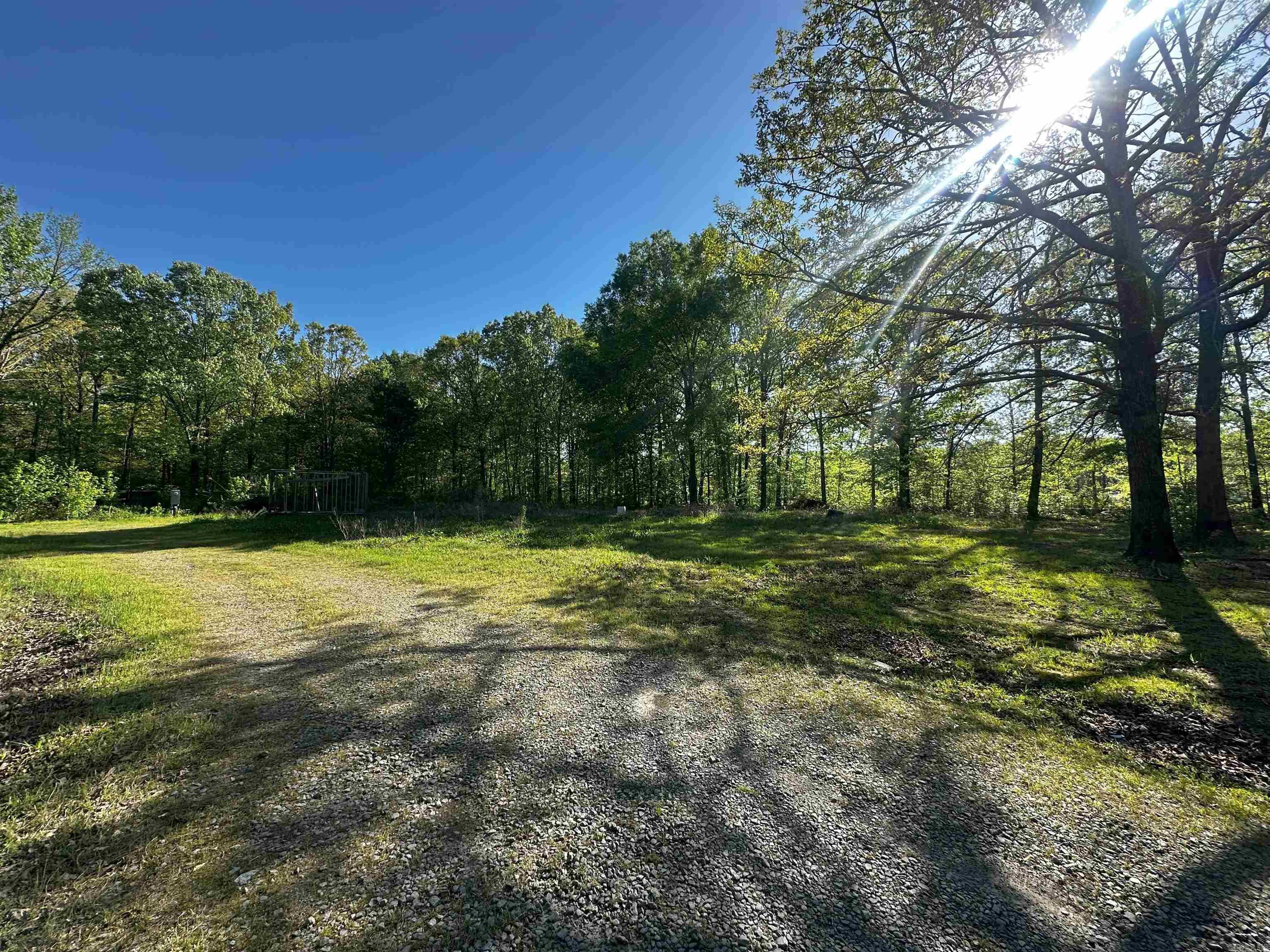 419  Robert Young  Ward, AR