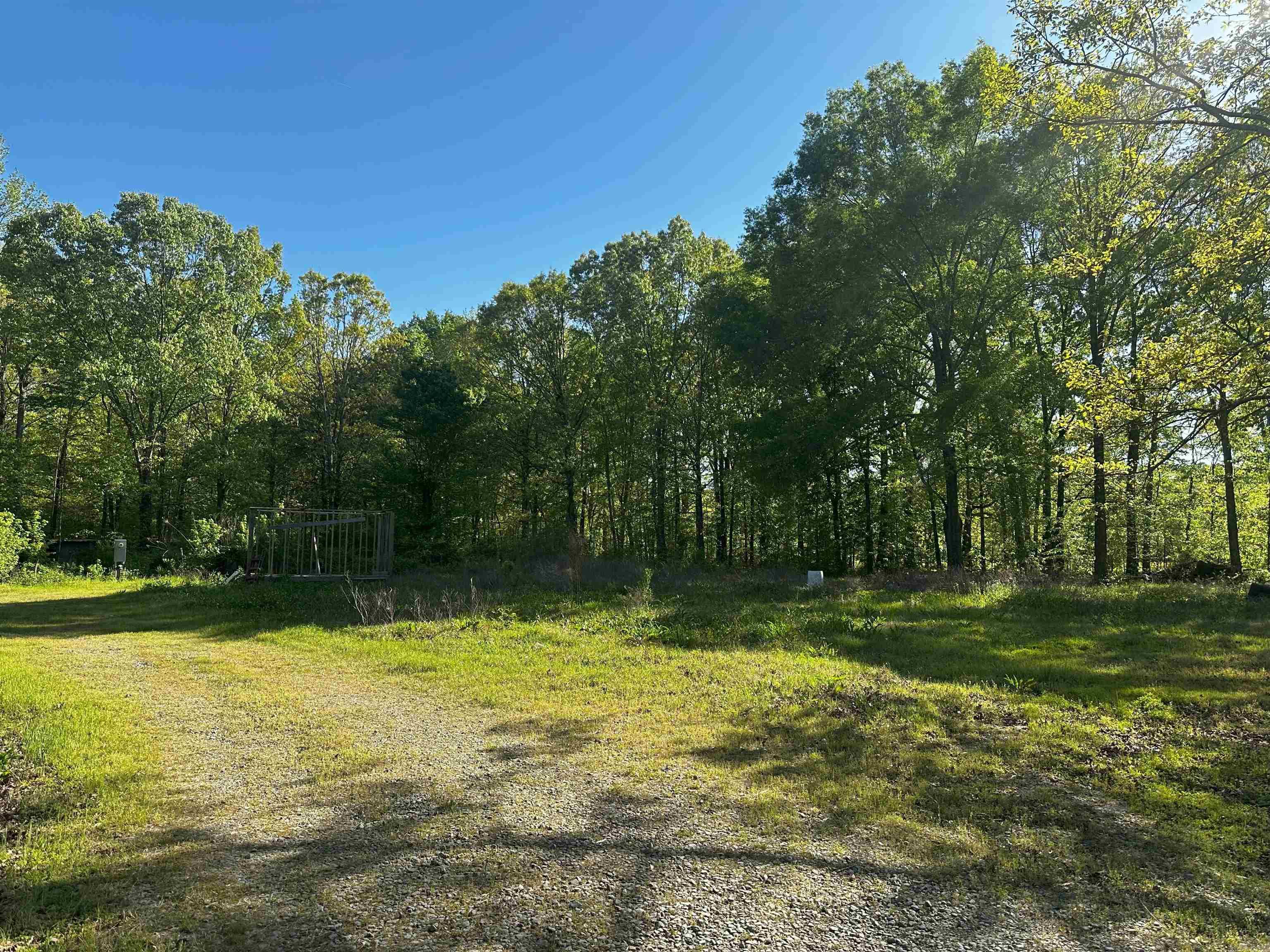 419  Robert Young  Ward, AR