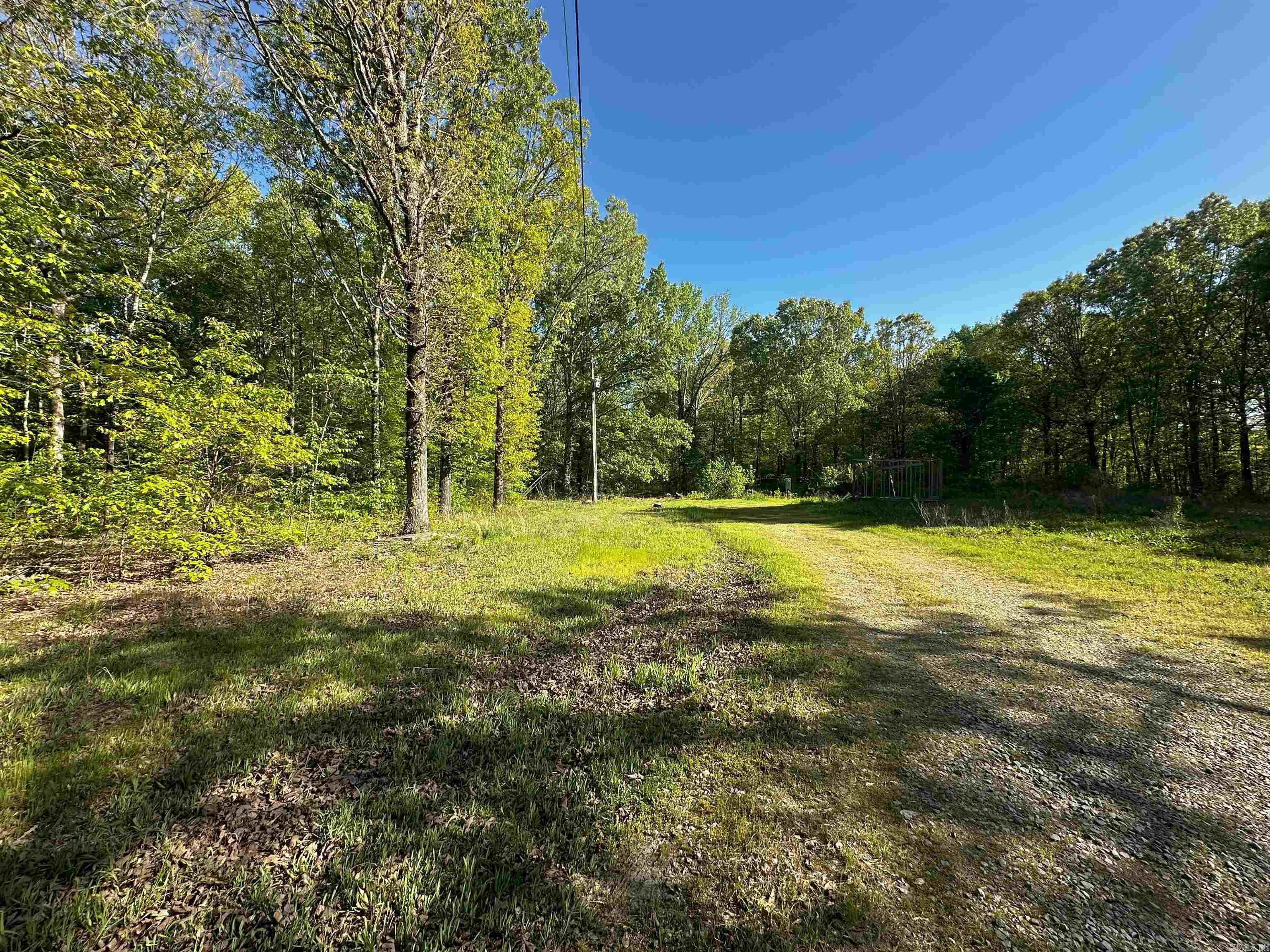 419  Robert Young  Ward, AR