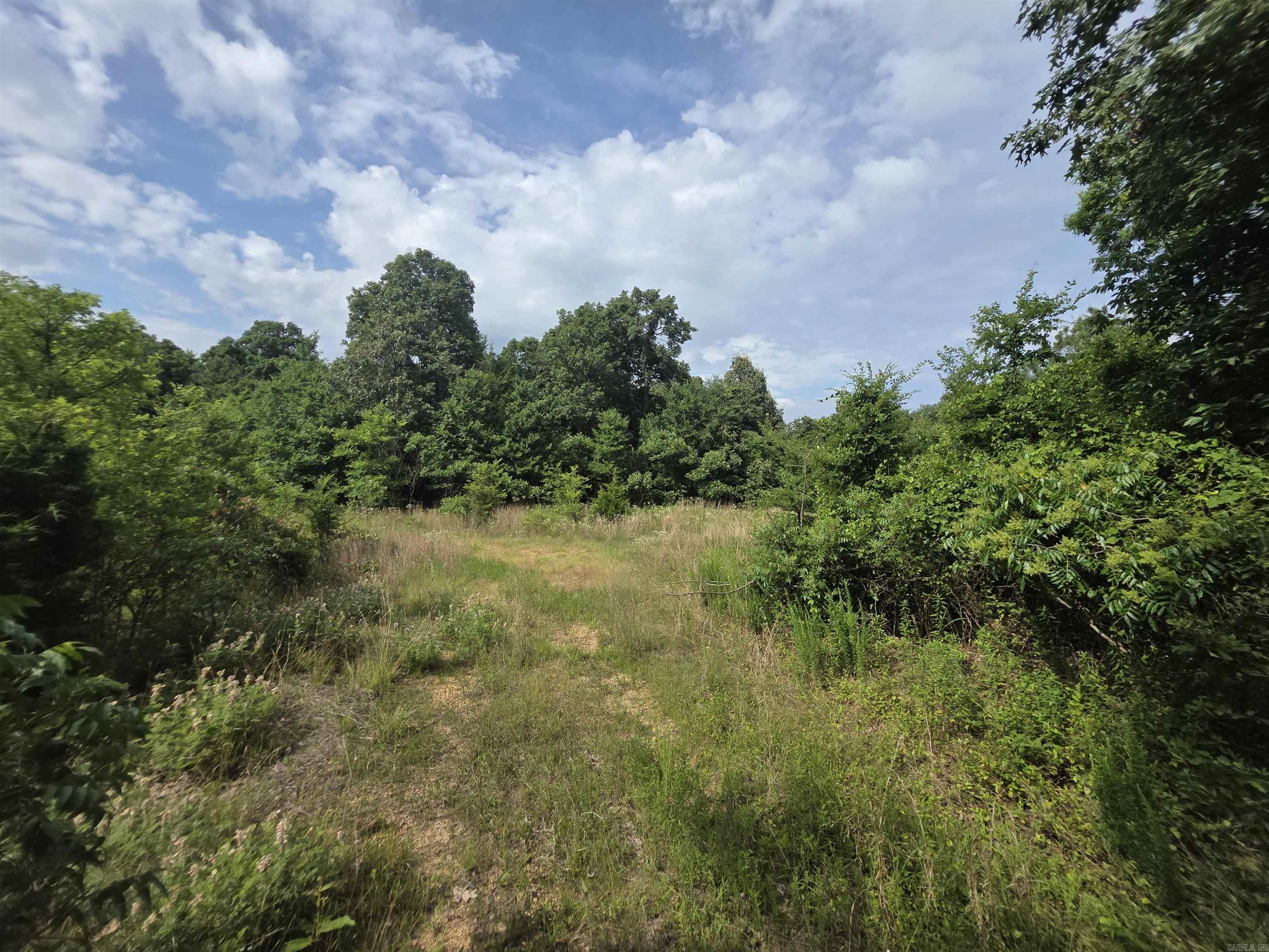 617 County Road 417  Rector, AR