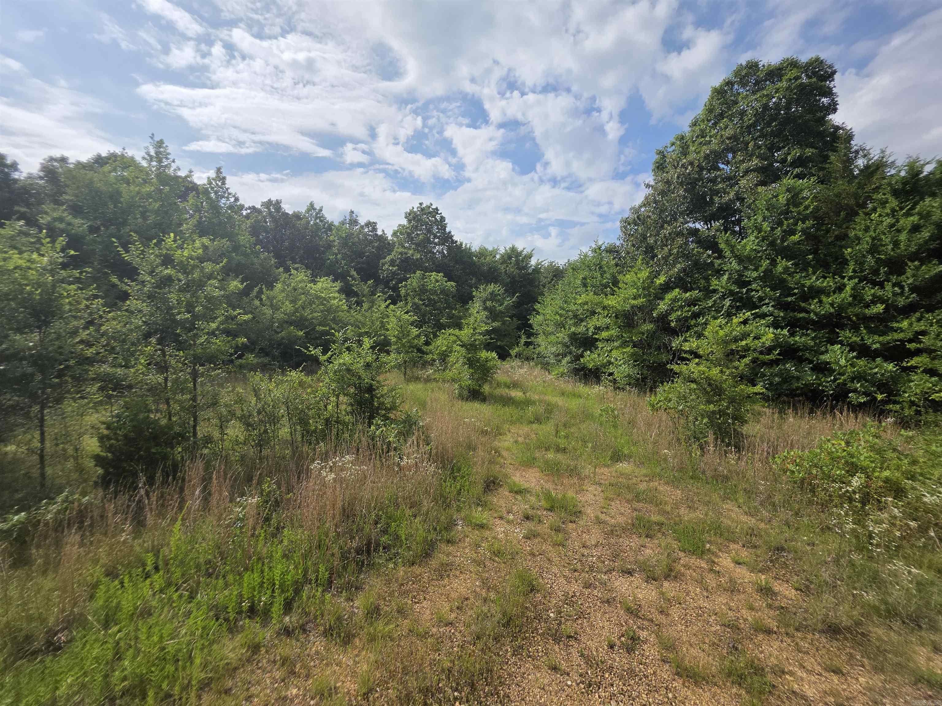 617 County Road 417  Rector, AR