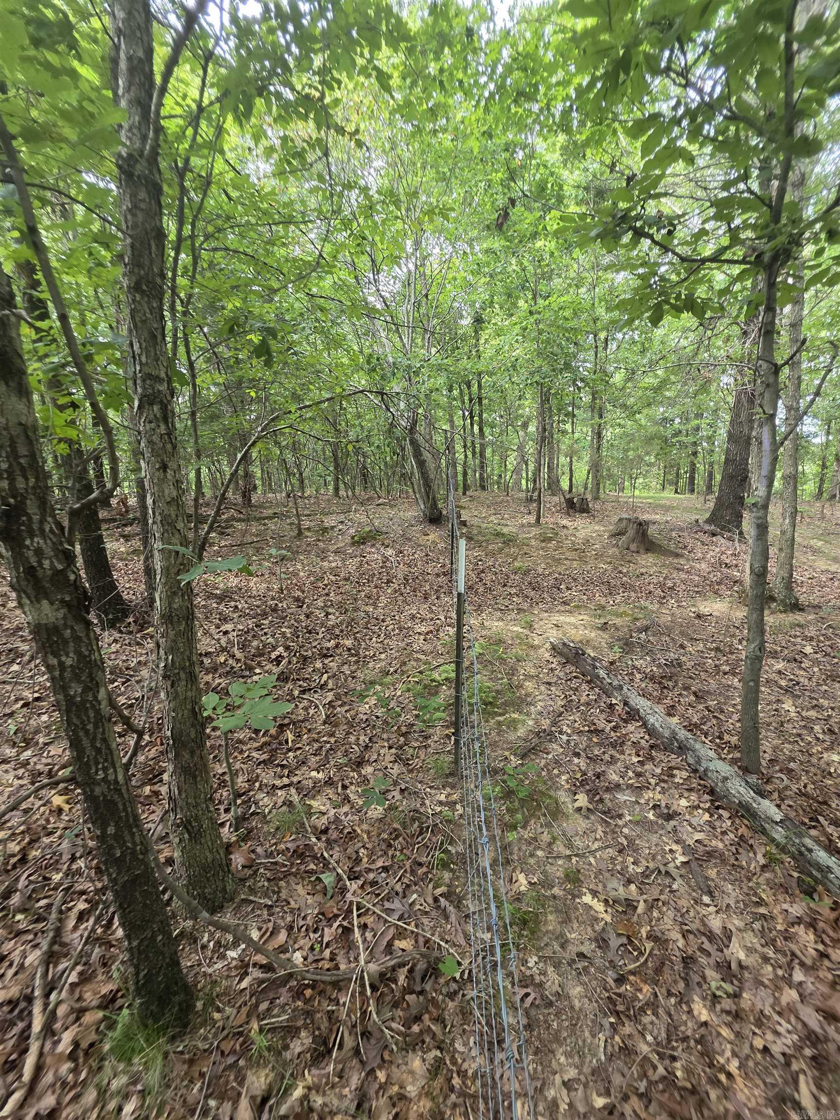 617 County Road 417  Rector, AR