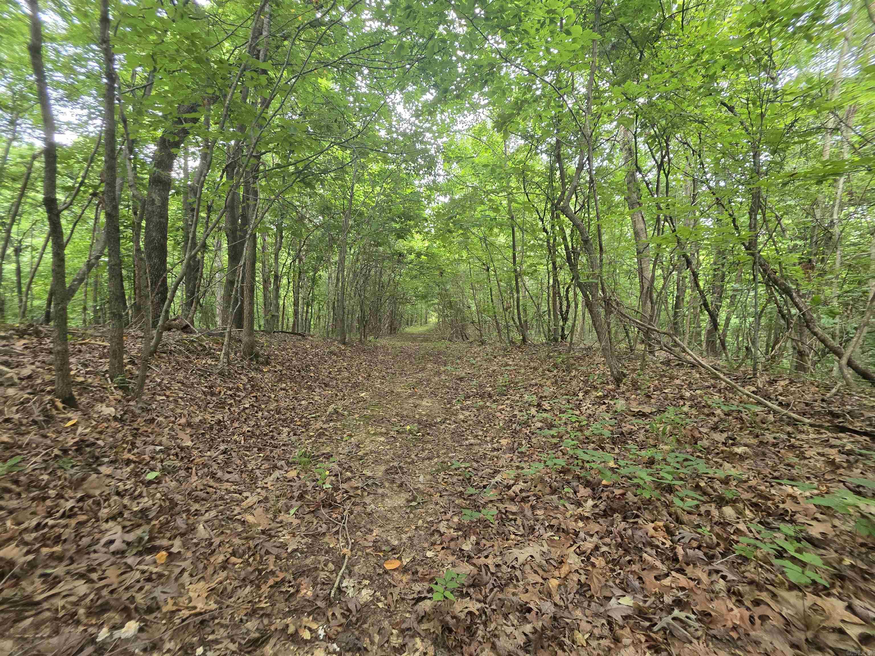 617 County Road 417  Rector, AR