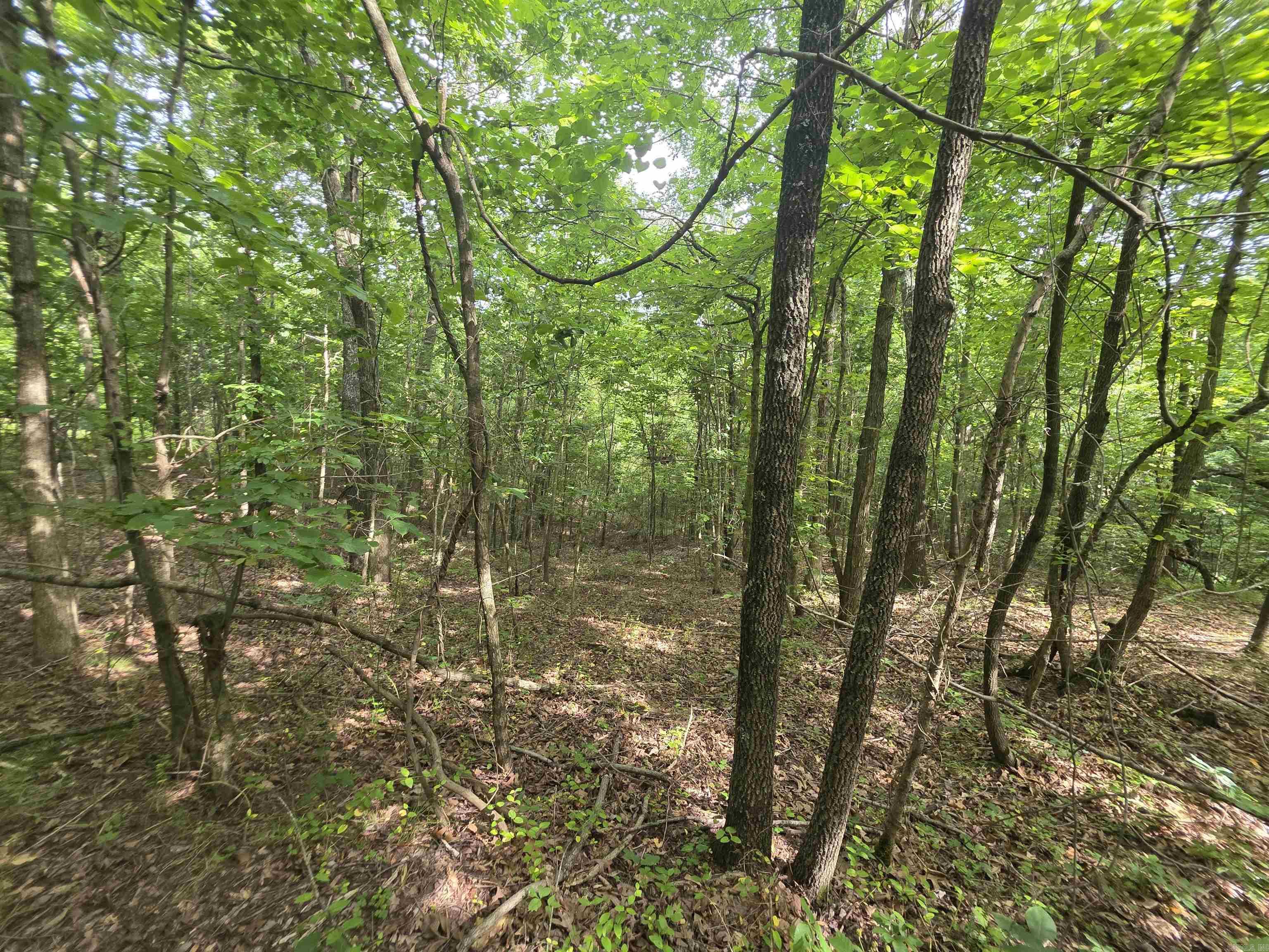 617 County Road 417  Rector, AR