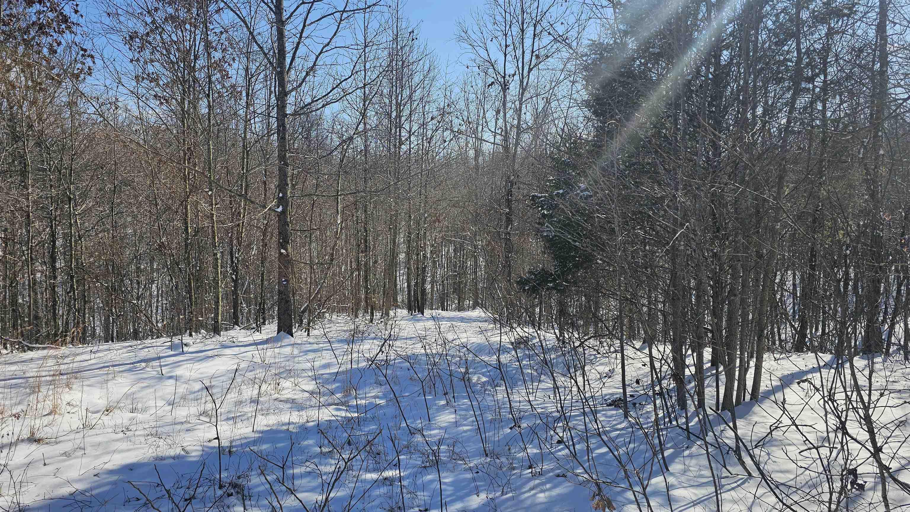 617 County Road  417  Rector, AR