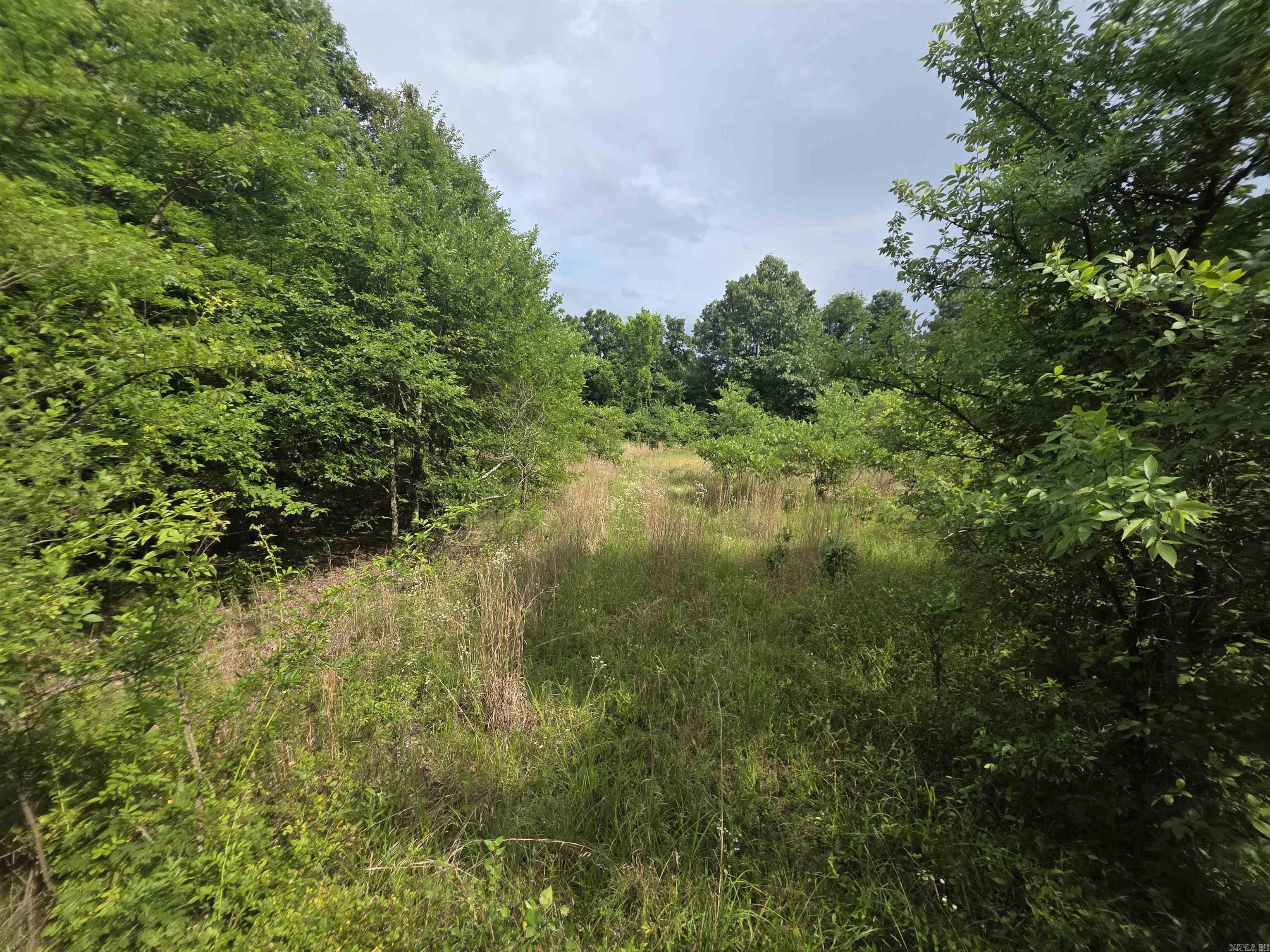 617 County Road 417  Rector, AR