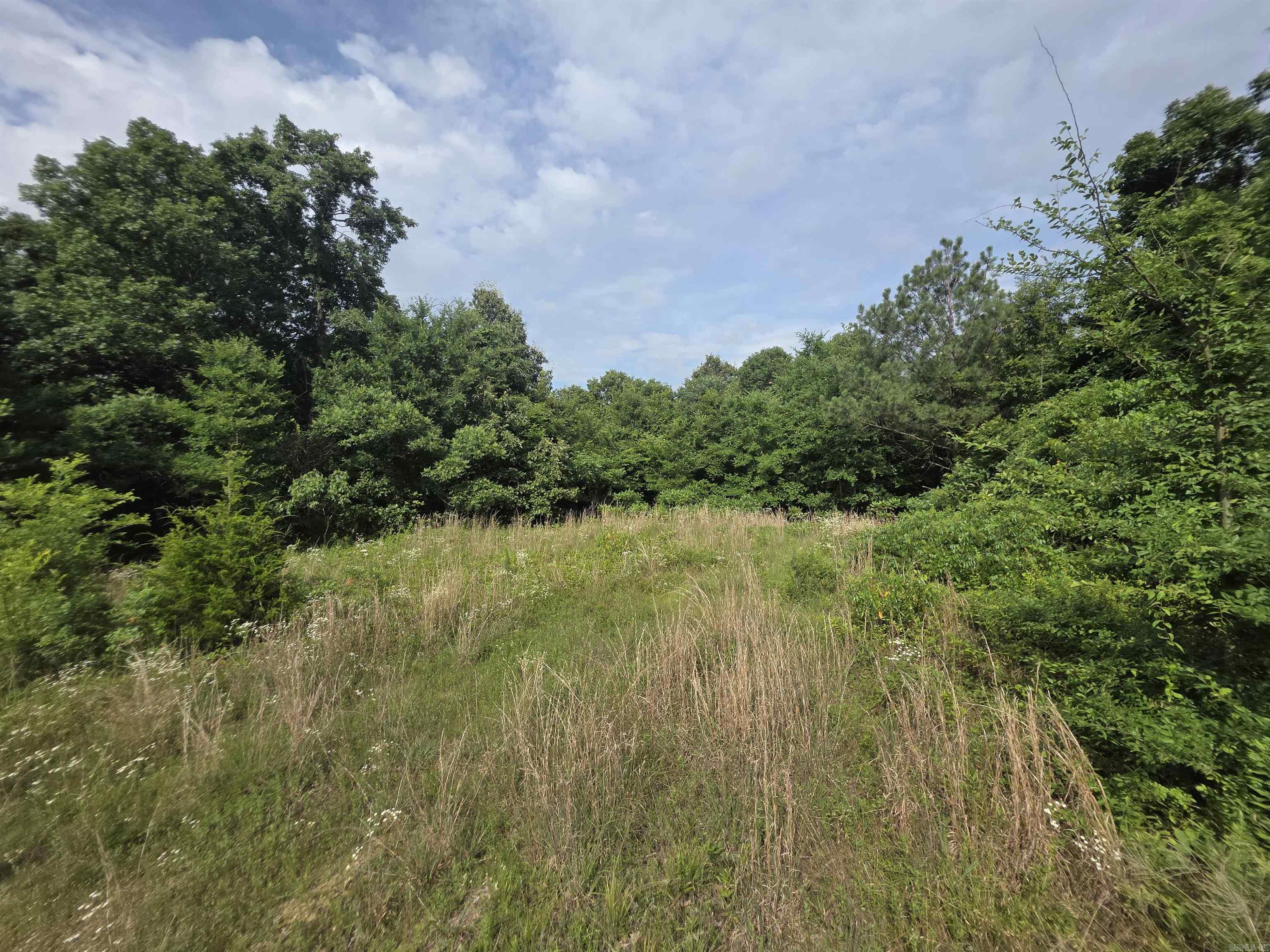 617 County Road 417  Rector, AR