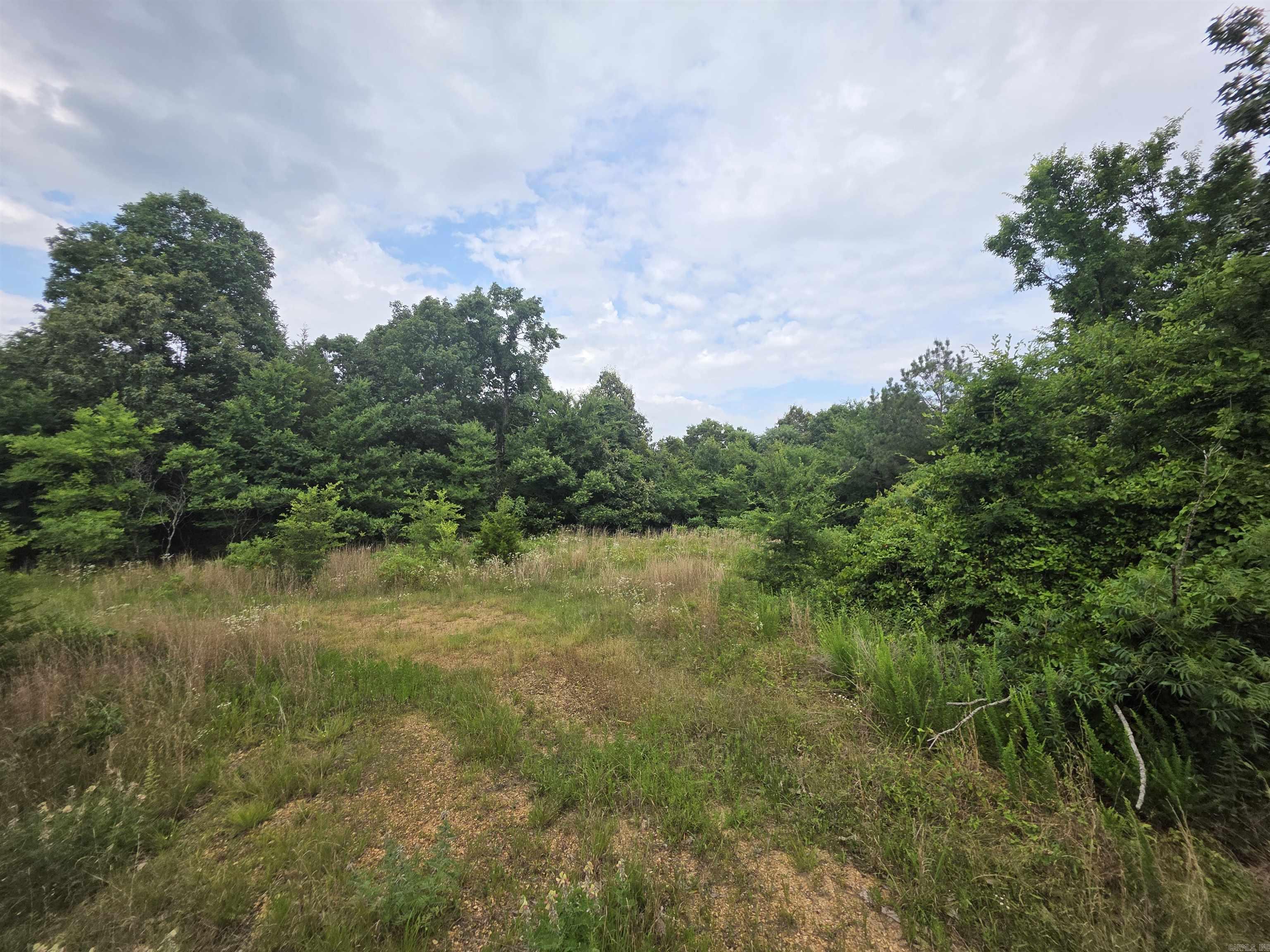 617 County Road 417  Rector, AR
