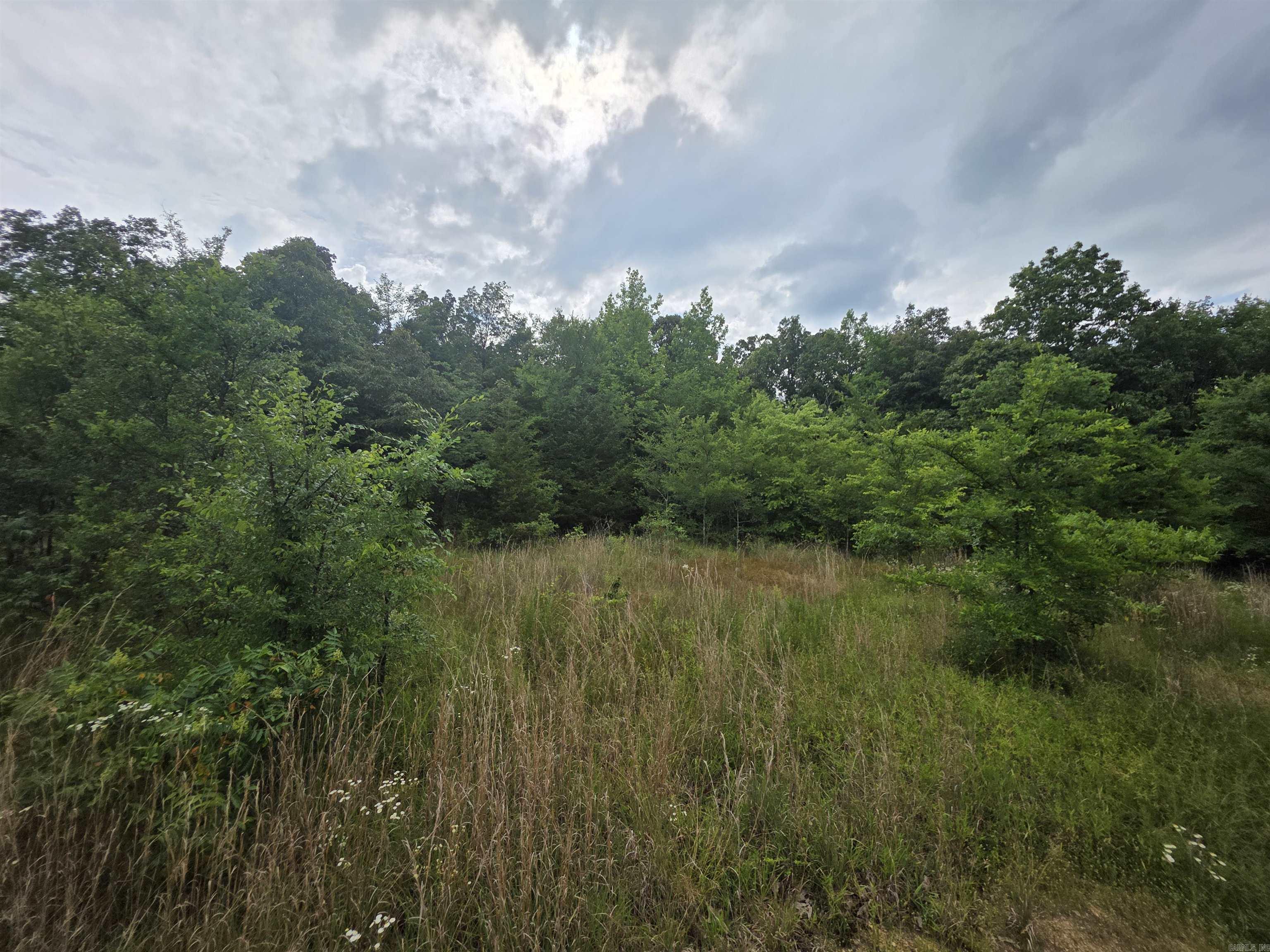 617 County Road 417  Rector, AR