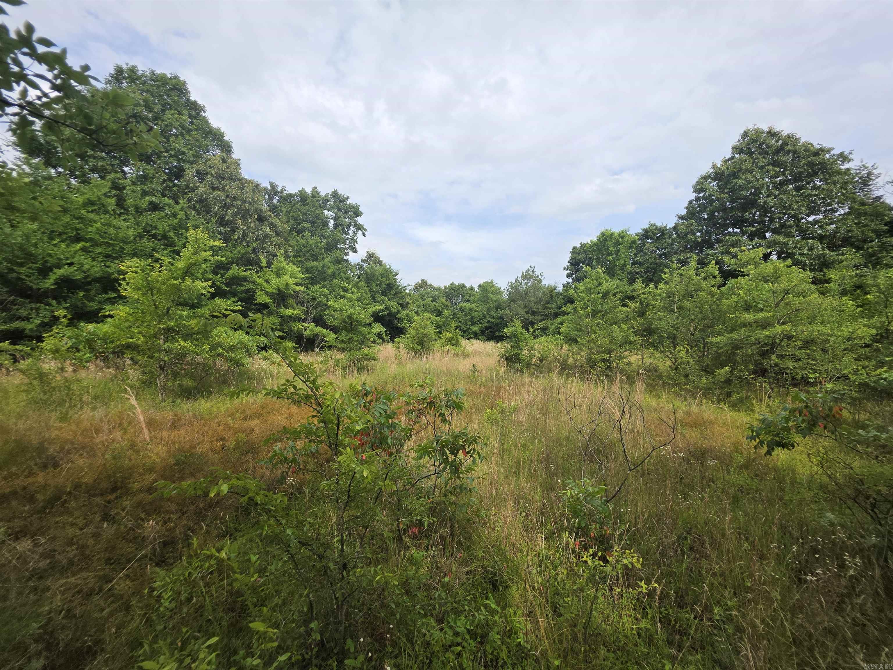 617 County Road 417  Rector, AR
