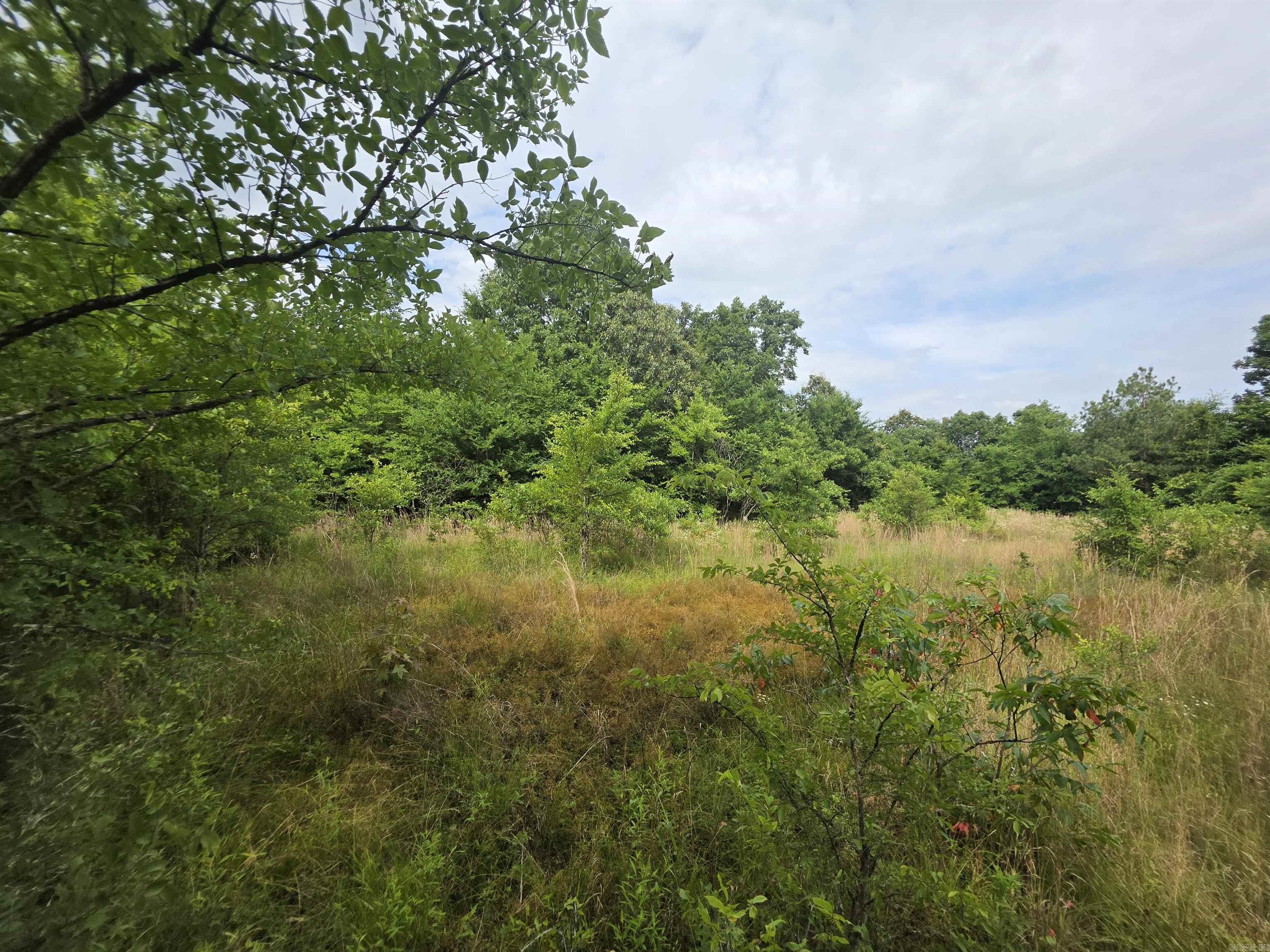 617 County Road 417  Rector, AR
