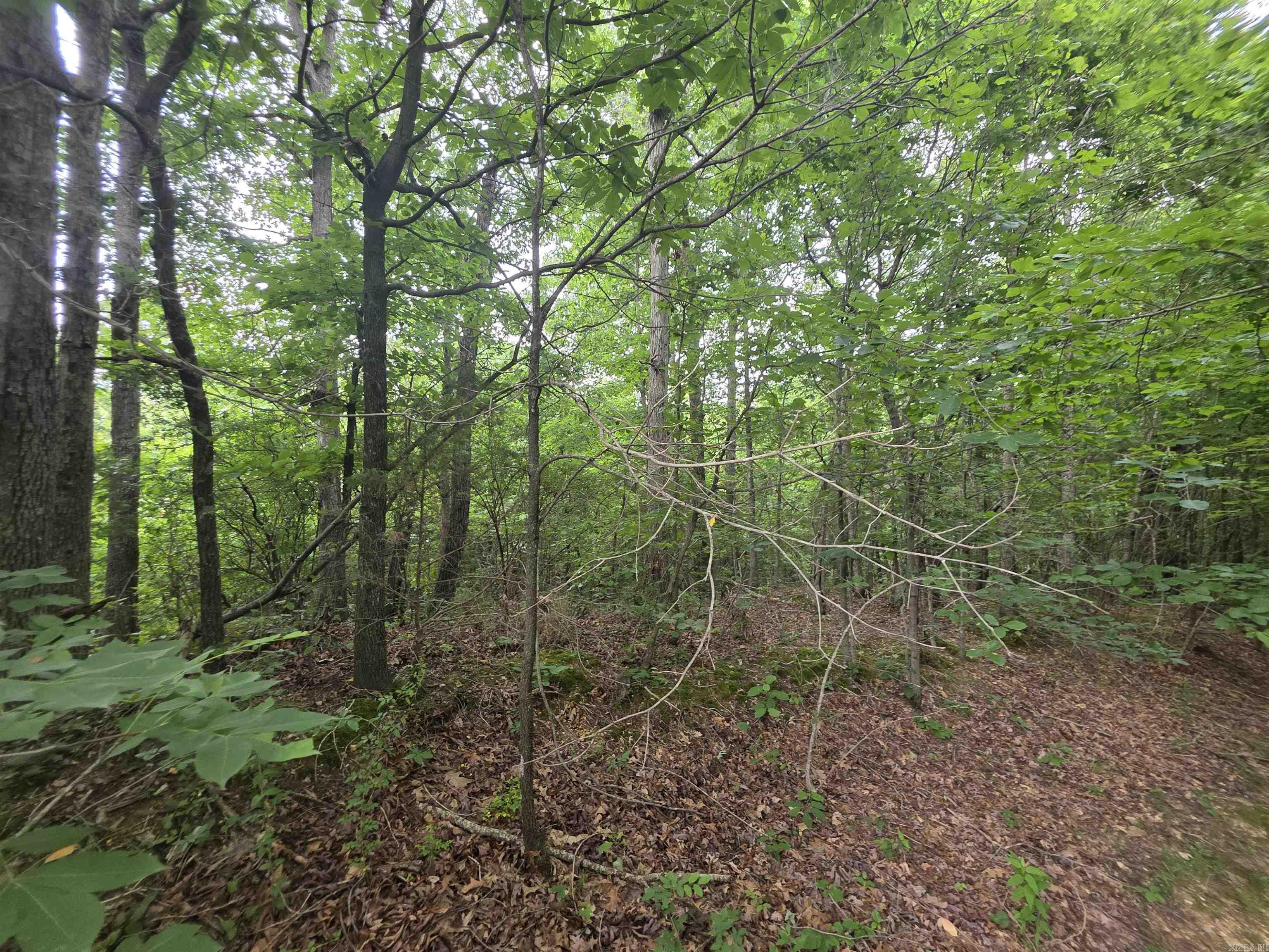 617 County Road 417  Rector, AR