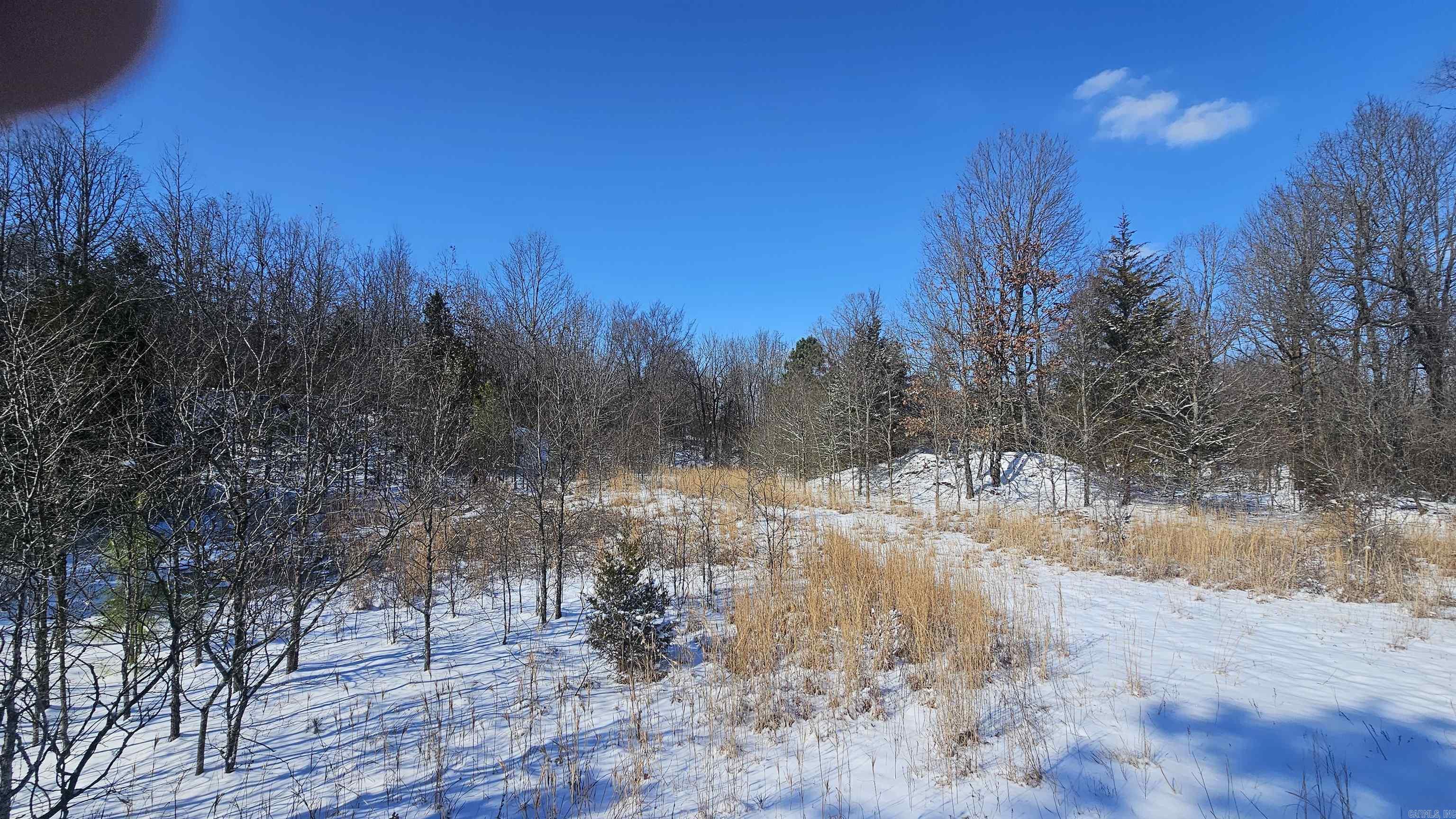 617 County Road  417  Rector, AR