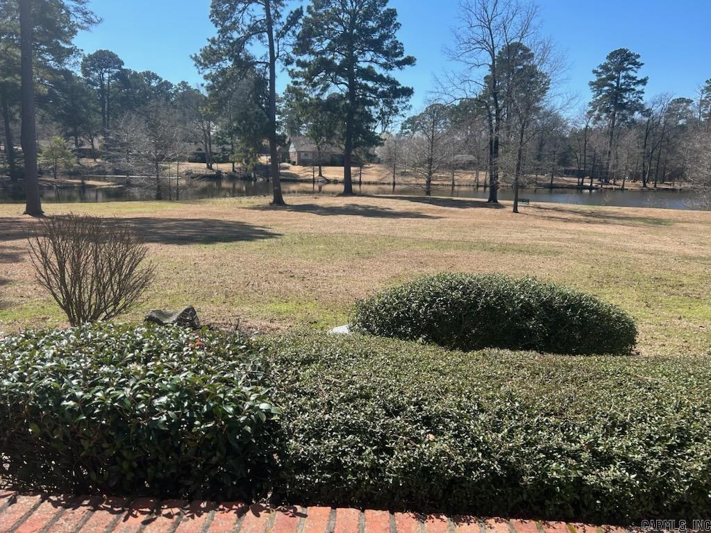 9  Chinquepin  Magnolia, AR
