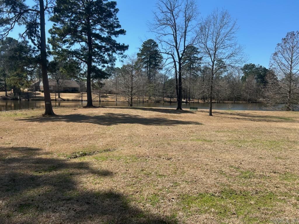 9  Chinquepin  Magnolia, AR