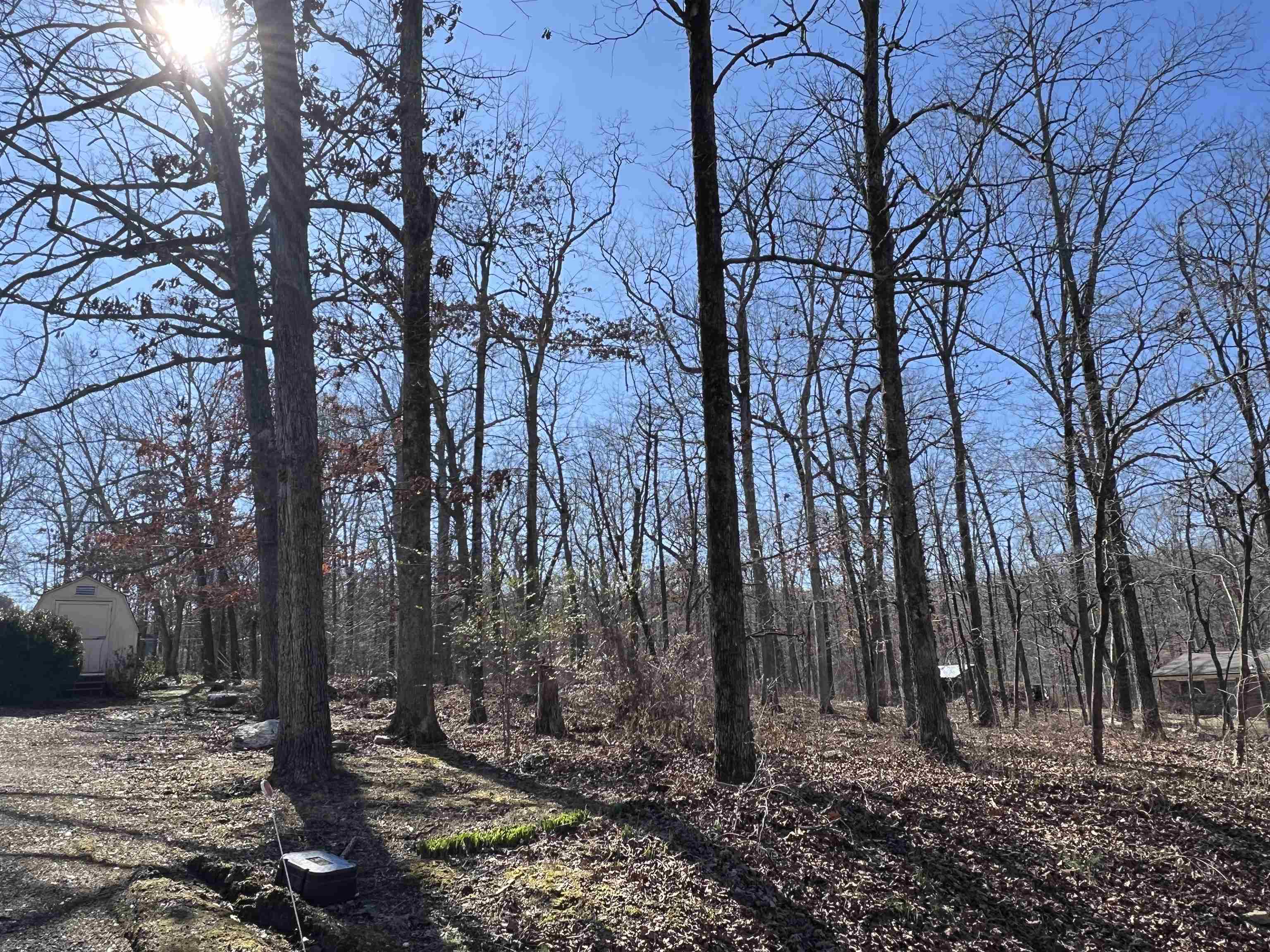 146  Vagabond Rd  Williford, AR