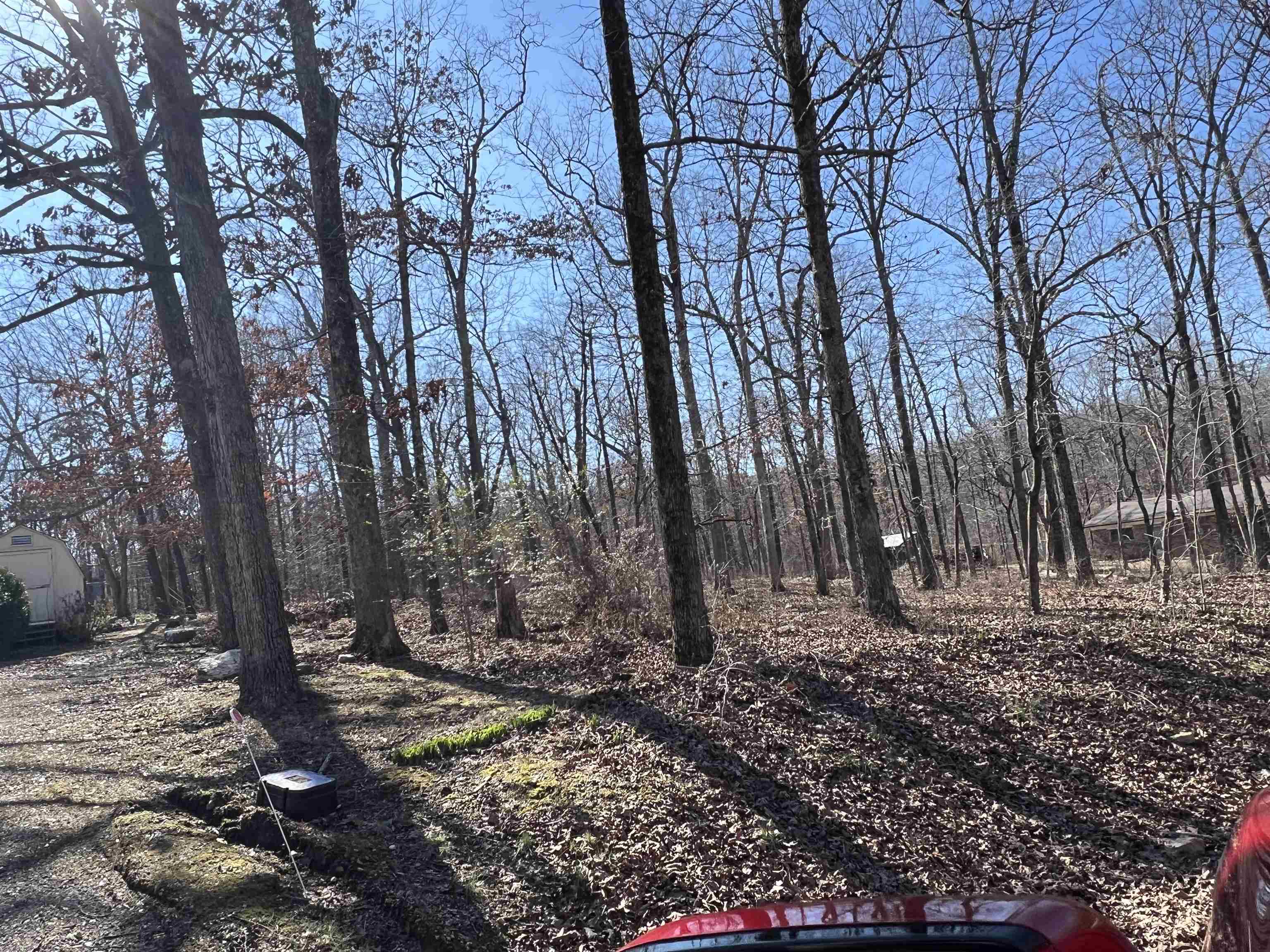 146  Vagabond Rd  Williford, AR
