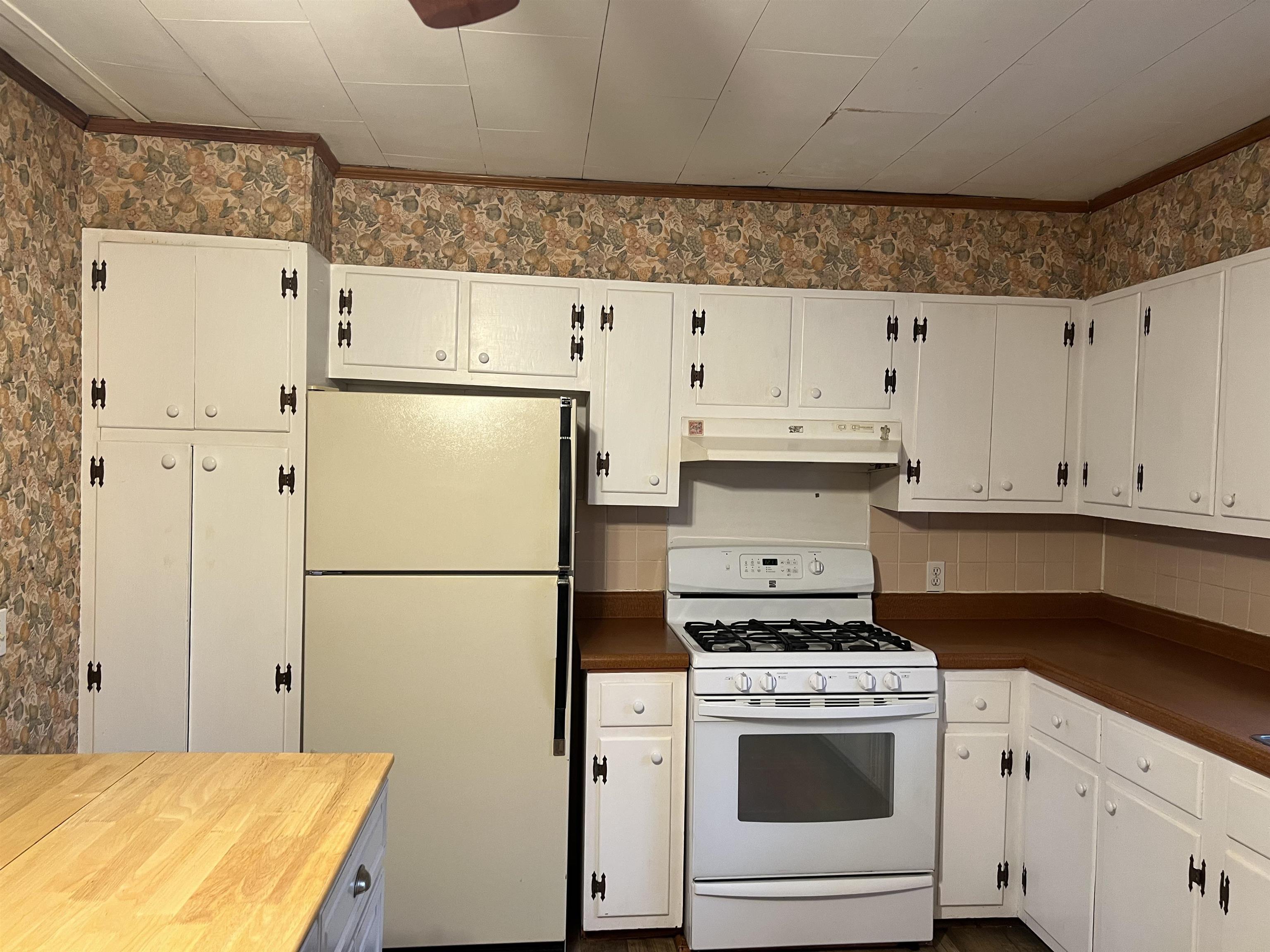 146  Vagabond Rd  Williford, AR