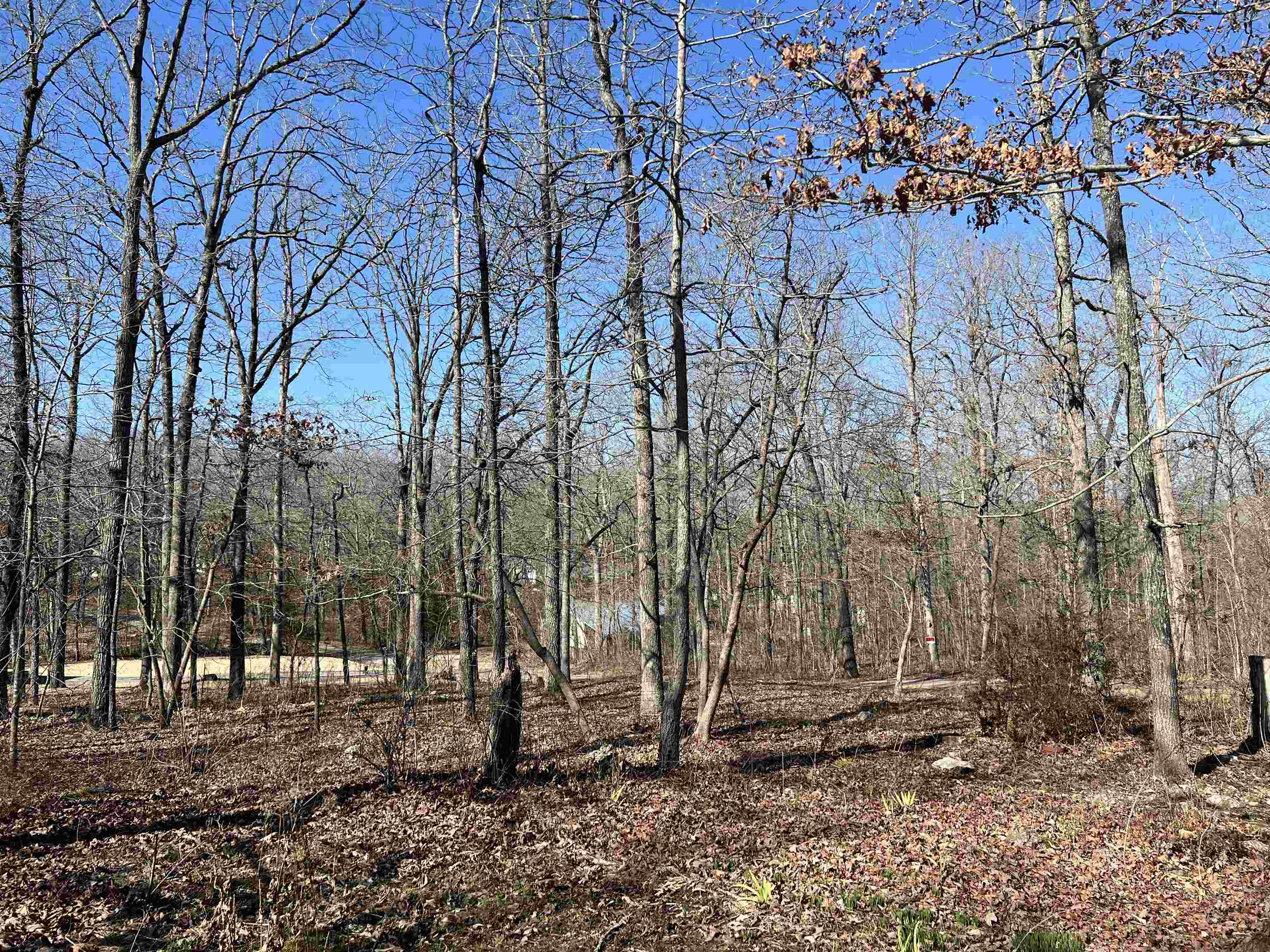 146  Vagabond Rd  Williford, AR