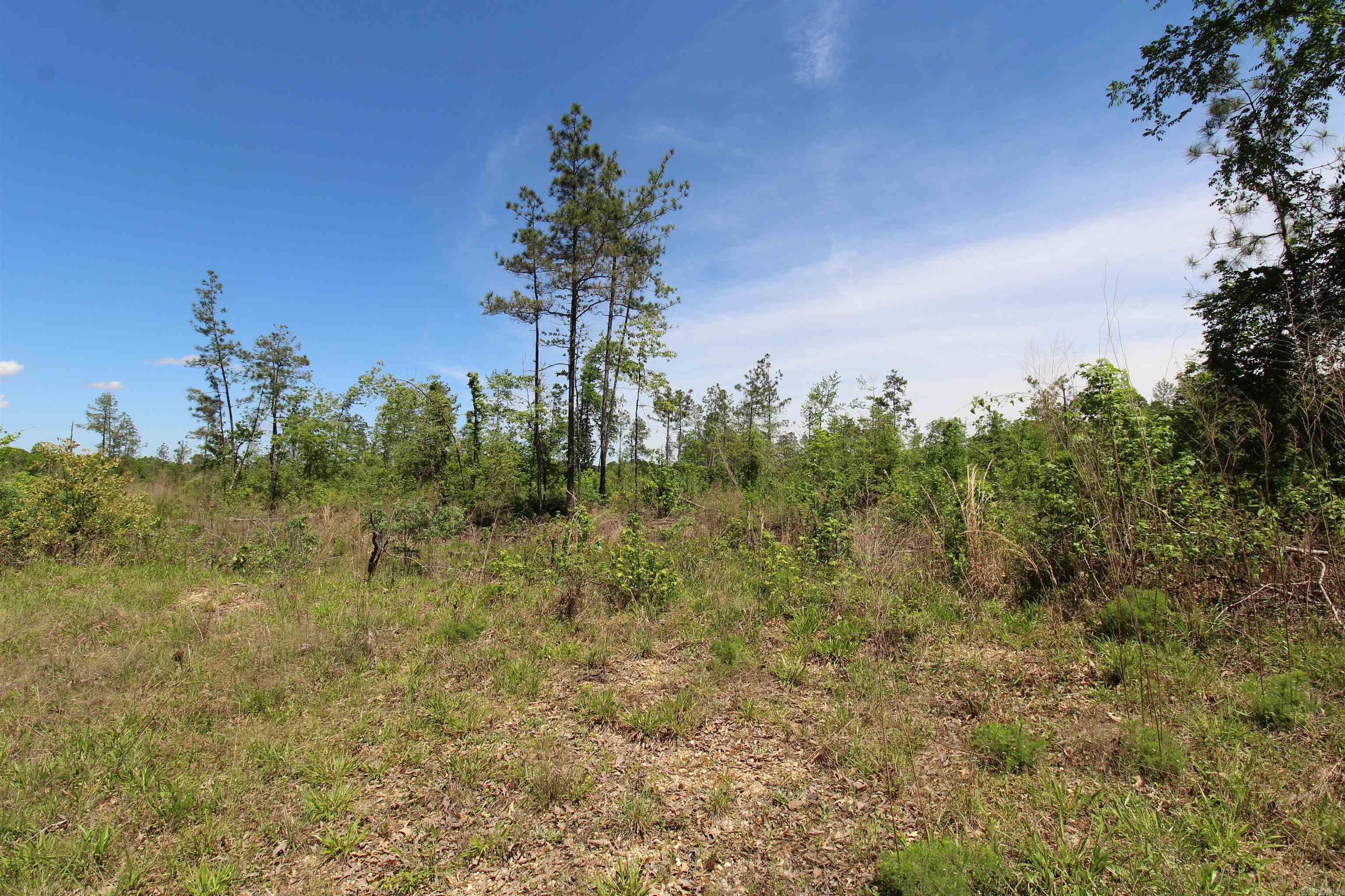 North Tract  Grant County Road 68  Sheridan, AR