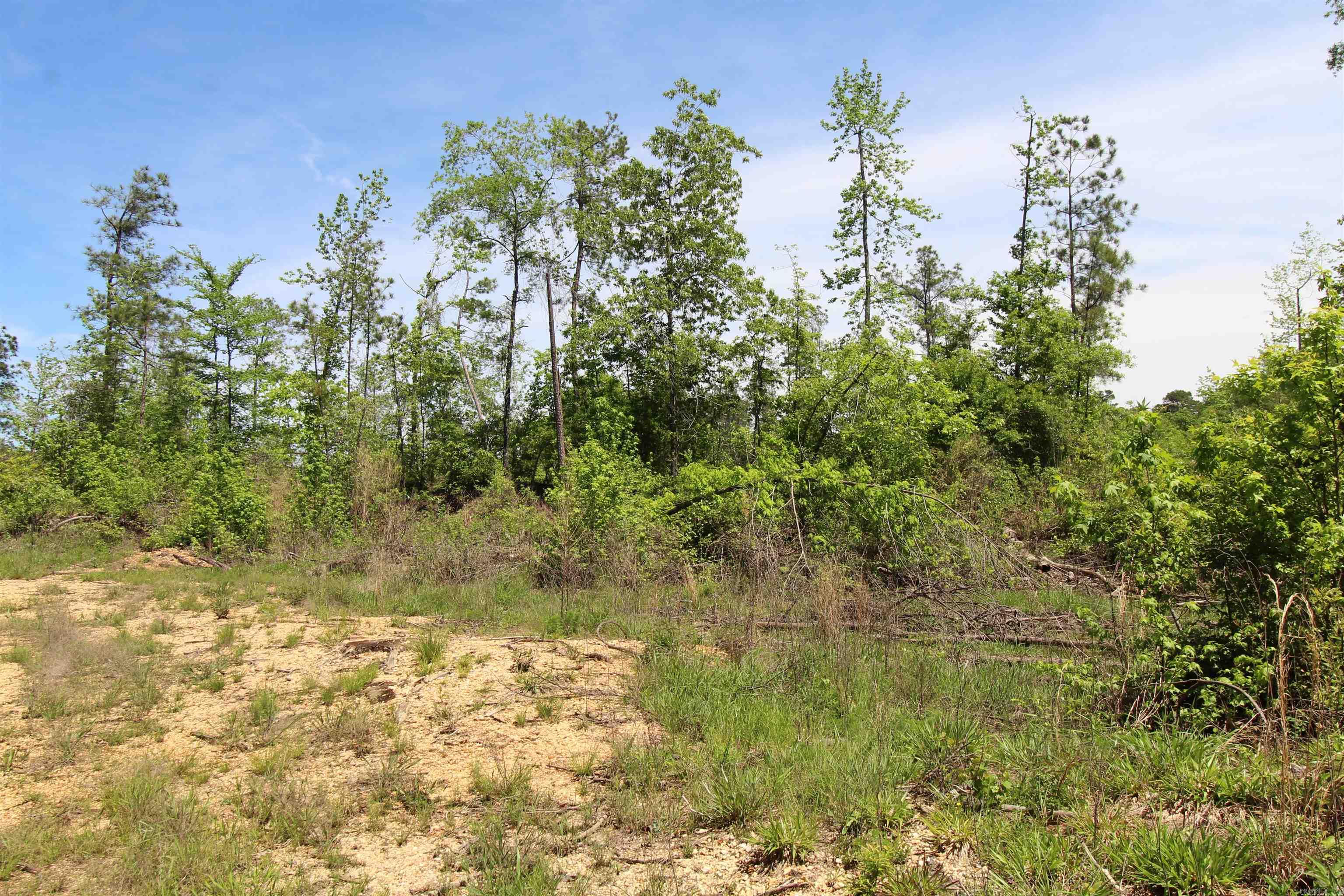 North Tract  Grant County Road 68  Sheridan, AR