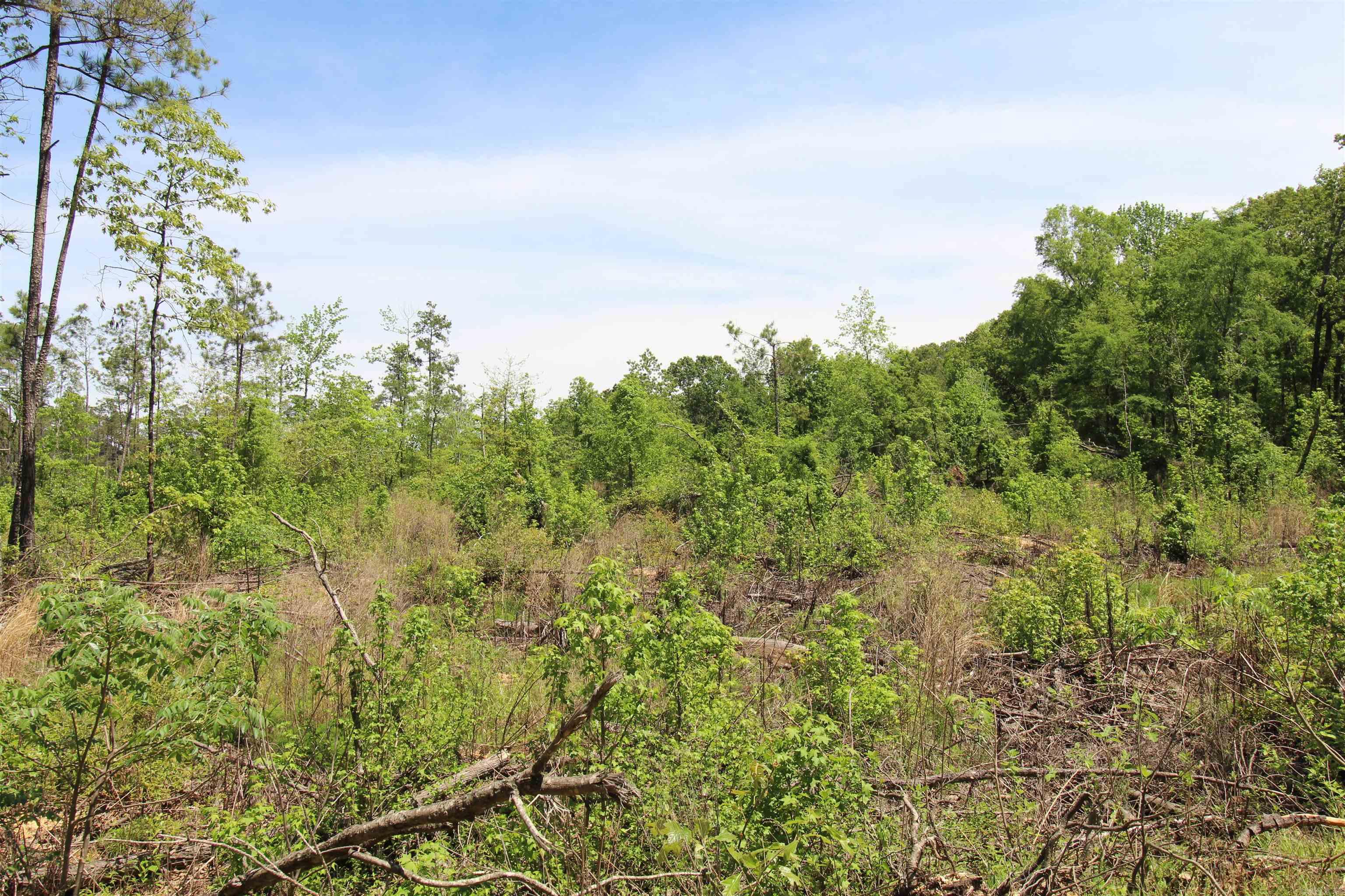 North Tract  Grant County Road 68  Sheridan, AR