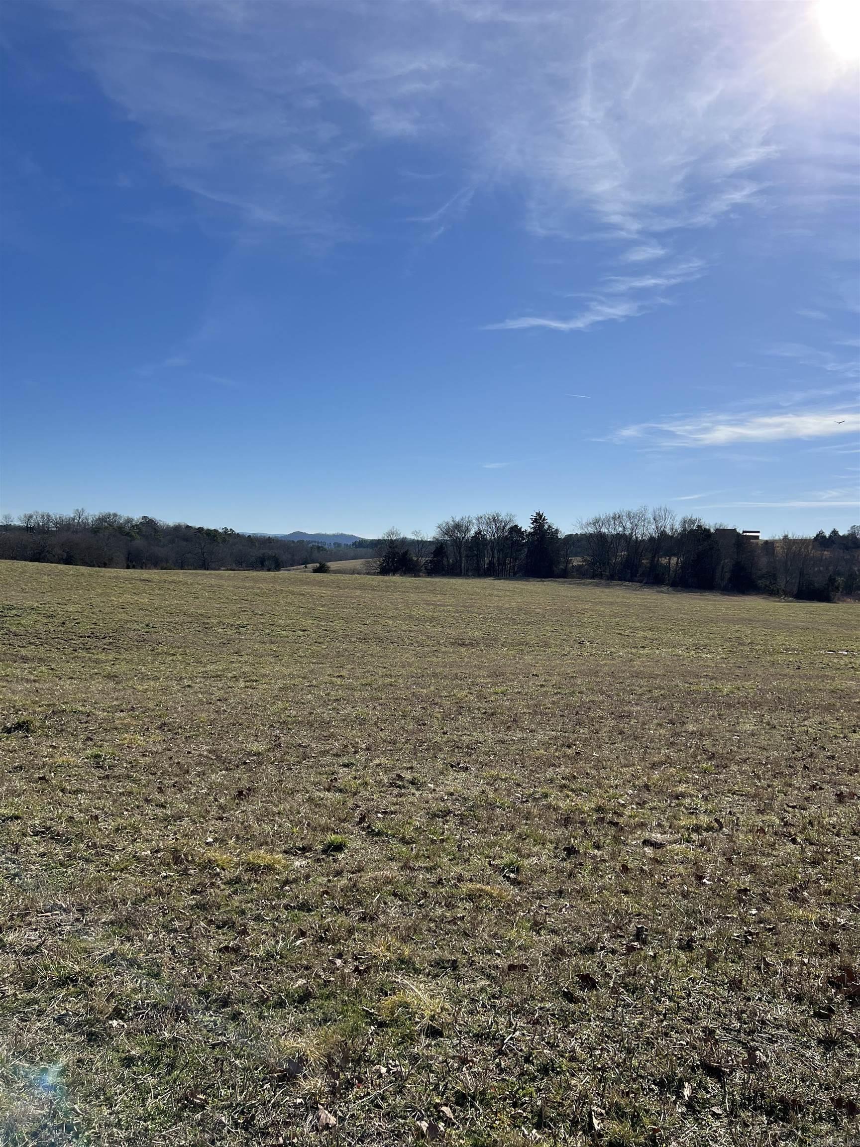 TBD. #1  Polk Road 85  Mena, AR