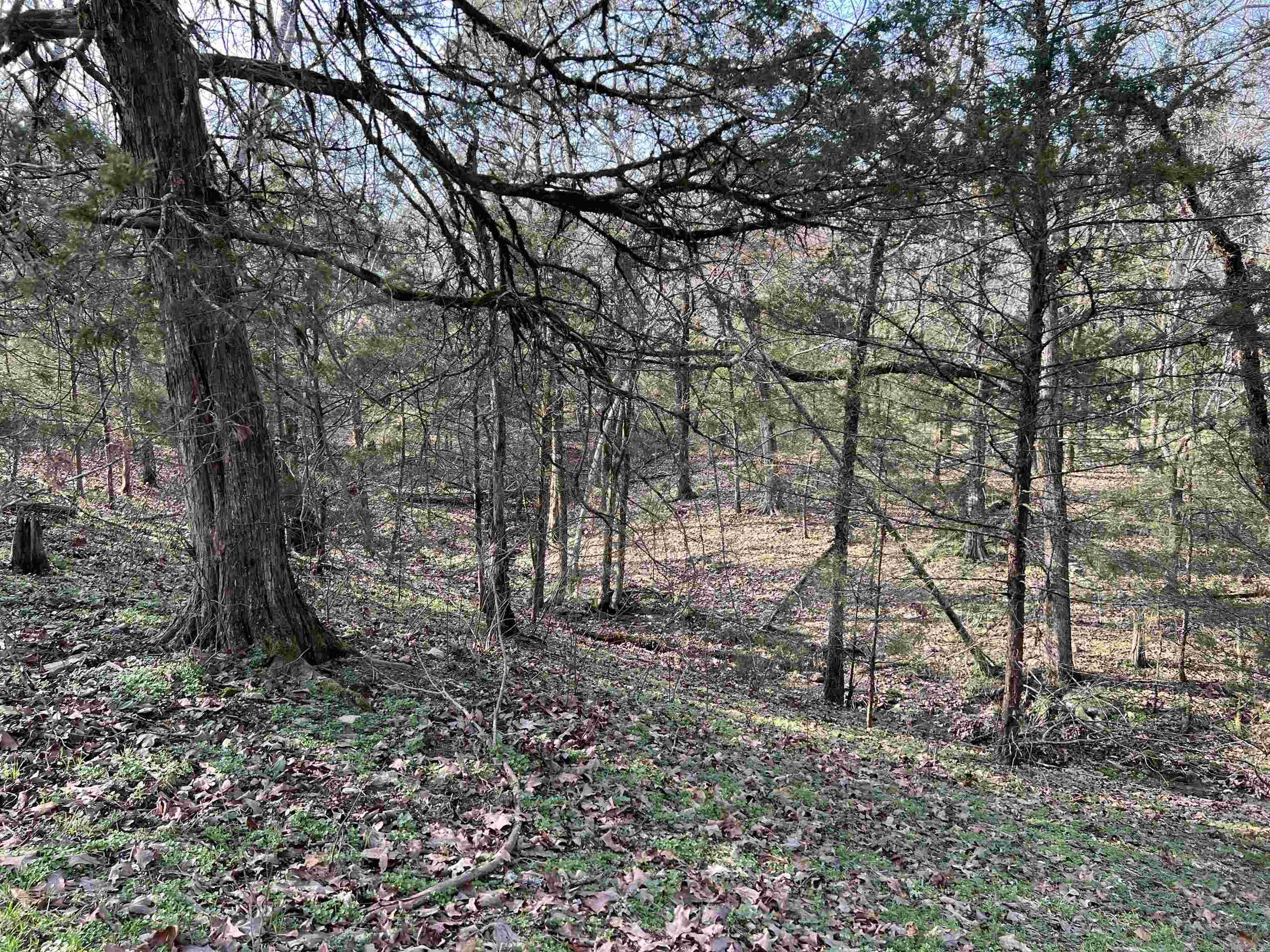 TBD. #2  Polk Road 85  Mena, AR
