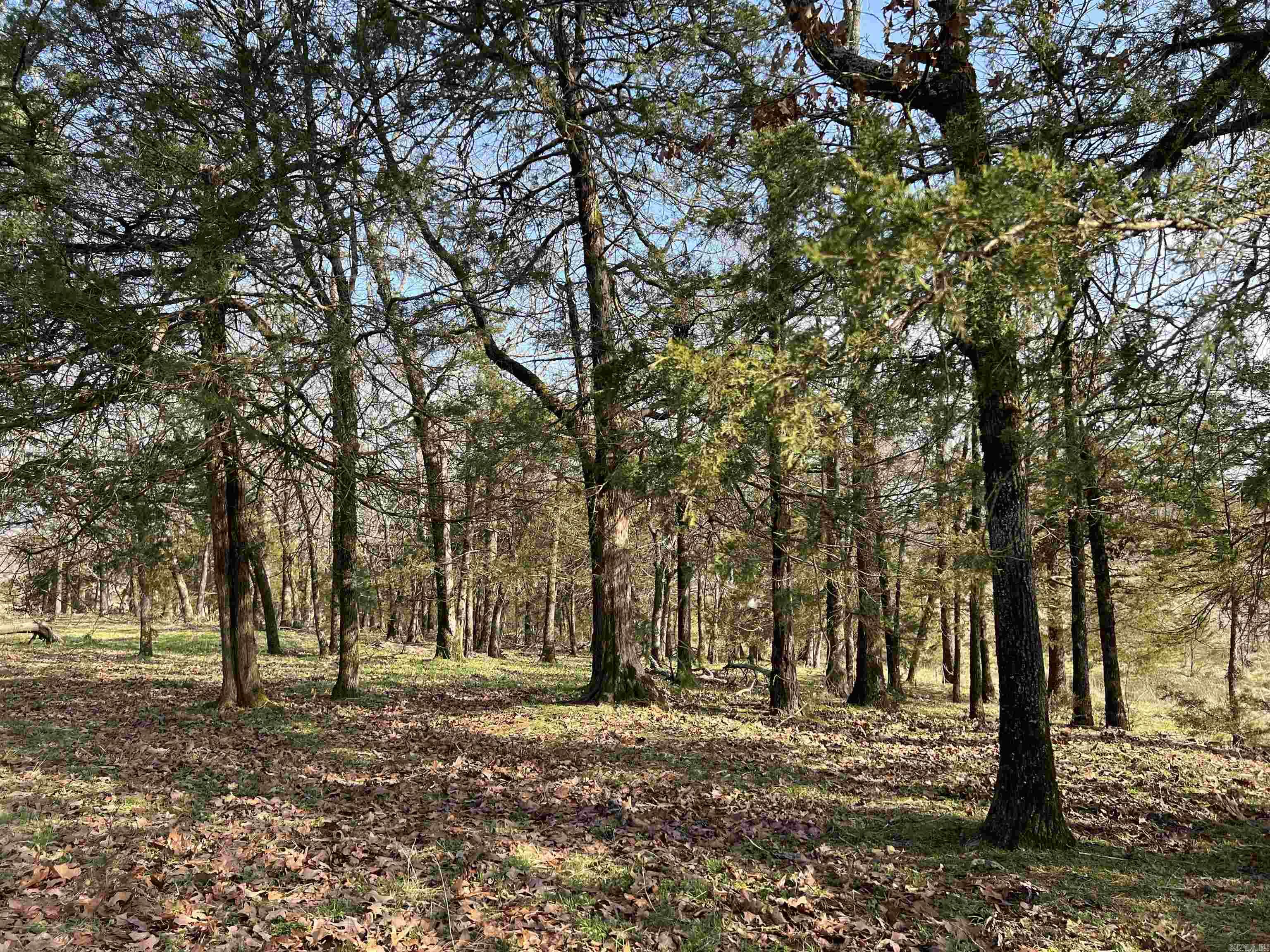 TBD. #2  Polk Road 85  Mena, AR